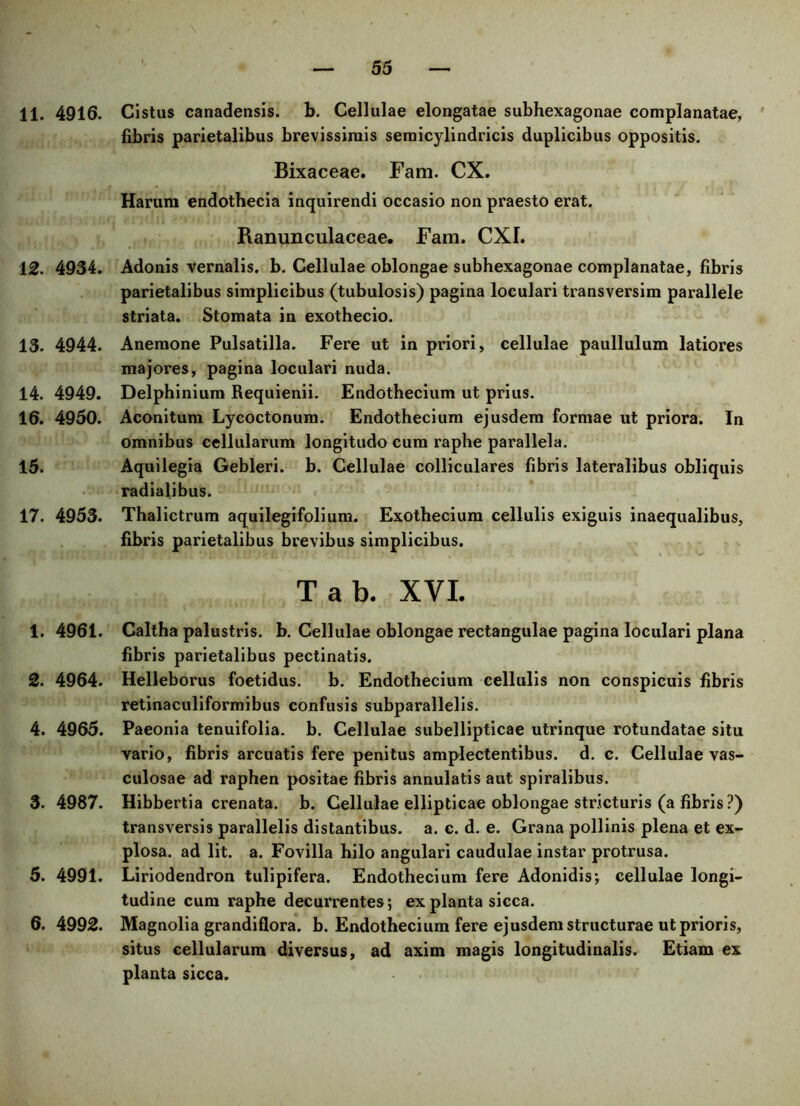 11. 4916. 12. 4934. 13. 4944. 14. 4949. 16. 4950. 15. 17. 4953. 1. 4961. 2. 4964. 4. 4965. 3. 4987. 5. 4991. 6. 4992. Cistus canadensis. b. Cellulae elongatae subhexagonae complanatae, fibris parietalibus brevissimis semicylindricis duplicibus oppositis. Bixaceae. Fam. CX. Harum endothecia inquirendi occasio non praesto erat. Ranunculaceae. Fam. CXI. Adonis vernalis, b. Cellulae oblongae subhexagonae complanatae, fibris parietalibus simplicibus (tubulosis) pagina loculari transversim parallele striata. Stomata in exothecio. Anemone Pulsatilla. Fere ut in priori, cellulae paullulum latiores majores, pagina loculari nuda. Delphinium Requienii. Endothecium ut prius. Aconitum Lycoctonum. Endothecium ejusdem formae ut priora. In omnibus cellularum longitudo cum raphe parallela. Aquilegia Gebleri. b. Cellulae colliculares fibris lateralibus obliquis radialibus. Thalictrum aquilegifolium. Exothecium cellulis exiguis inaequalibus, fibris parietalibus brevibus simplicibus. Tab. XVI. Caltha palustris, b. Cellulae oblongae rectangulae pagina loculari plana fibris parietalibus pectinatis. Helleborus foetidus. b. Endothecium cellulis non conspicuis fibris retinaculiformibus confusis subparallelis. Paeonia tenuifolia. b. Cellulae subellipticae utrinque rotundatae situ vario, fibris arcuatis fere penitus amplectentibus. d. c. Cellulae vas- culosae ad raphen positae fibris annulatis aut spiralibus. Hibbertia crenata. b. Cellulae ellipticae oblongae stricturis (a fibris ?) transversis parallelis distantibus, a. c. d. e. Grana pollinis plena et ex- plosa. ad lit. a. Fovilla hilo angulari caudulae instar protrusa. Liriodendron tulipifera. Endothecium fere Adonidis; cellulae longi- tudine cum raphe decurrentes; ex planta sicca. Magnolia grandiflora. b. Endothecium fere ejusdem structurae ut prioris, situs cellularum diversus, ad axim magis longitudinalis. Etiam ex planta sicca.