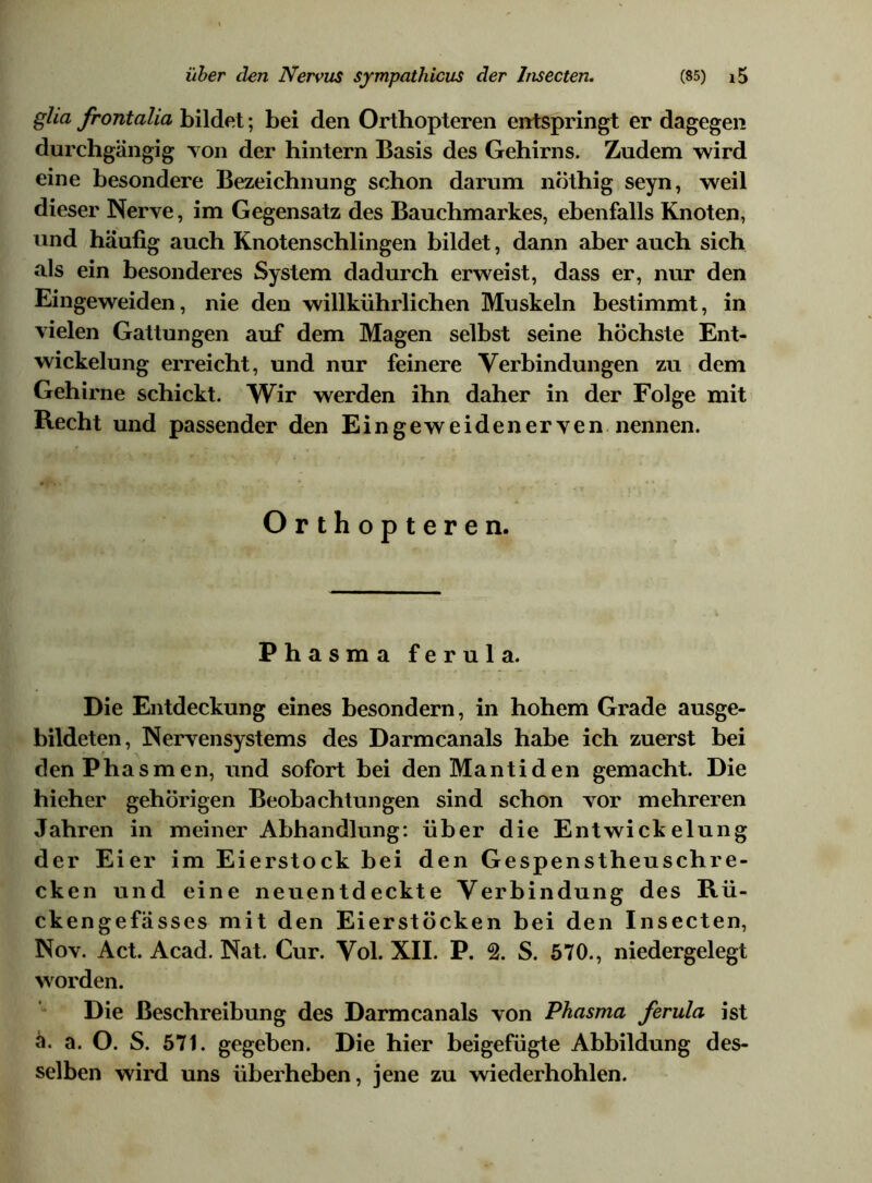 gha frontalia bildet; bei den Orthopteren entspringt er dagegen durchgängig von der hintern Basis des Gehirns. Zudem wird eine besondere Bezeichnung schon darum nothig seyn, weil dieser Nerve, im Gegensatz des Bauchmarkes, ebenfalls Knoten, und häufig auch Knotenschlingen bildet, dann aber auch sich als ein besonderes System dadurch erweist, dass er, nur den Eingeweiden, nie den willkührlichen Muskeln bestimmt, in vielen Gattungen auf dem Magen selbst seine höchste Ent- wickelung erreicht, und nur feinere Verbindungen zu dem Gehirne schickt. Wir werden ihn daher in der Folge mit Recht und passender den Eingeweidenerven nennen. Orthopteren. Phasma ferula. Die Entdeckung eines besondern, in hohem Grade ausge- bildeten, Nervensystems des Darmcanals habe ich zuerst bei denPhasmen, und sofort bei denMantiden gemacht. Die hieher gehörigen Beobachtungen sind schon vor mehreren Jahren in meiner Abhandlung: über die Entwickelung der Eier im Eierstock bei den Gespenstheuschre- cken und eine neuentdeckte Verbindung des Rü- ckengefässes mit den Eierstöcken bei den Insecten, Nov. Act. Acad. Nat. Cur. Vol. XII. P. 2. S. 570., niedergelegt worden. Die Beschreibung des Darmcanals von Phasma ferula ist ä. a. O. S. 571. gegeben. Die hier beigefügte Abbildung des- selben wird uns überheben, jene zu wiederhohlen.