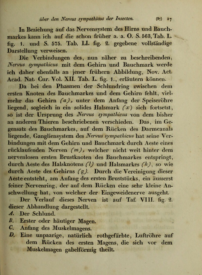 In Beziehung auf das Nervensystem des Hirns und Bauch- markes kann ich auf die schon früher a. a. O. S. 563, Tab. L. fig. 1. und S. 575. Tab. LI. fig. 2. gegebene vollständige Darstellung verweisen. Die Verbindungen des, nun näher zu beschreibenden, Nervus sympathicus mit dem Gehirn und Bauchmark werde ich daher ebenfalls an jener frühem Abbildung, Nov. Act. Acad. Nat- Cur. Vol. XII. Tab. L. fig. 1., erläutern können. Da bei den Phasmen der Schlundring zwischen dem ersten Knoten des Bauchmarkes und dem Gehirn fehlt, viel- mehr das Gehirn (a) 9 unter dem Anfang der Speiseröhre liegend, sogleich in ein solides Halsmark fx) sich fortsetzt, so ist der Ursprung des Nervus sympathicus von dem bisher an anderen Thieren beschriebenen verschieden. Das, im Ge- gensatz des Bauchmarkes, auf dem Rücken des Darmcanals liegende, Gangliensystem des Nervus sympathicus hat seine Ver- bindungen mit dem Gehirn und Bauchmark durch Aeste eines rücklaufenden Nerven (m), welcher nicht weit hinter dem nervenlosen ersten Brustknoten des Bauchmarkes entspringt, durch Aeste des Halsknotens (1) und Halsmarkes (h), so wie durch Aeste des Gehirns (gj. Durch die Vereinigung dieser Aeste entsteht, am Anfang des ersten Bruststücks, ein äusserst feiner Nervenring, der auf dem Rücken eine sehr kleine An- schwellung hat, von welcher der Eingeweidenerve ausgeht. Der Verlauf dieses Nerven ist auf Taf. VIII. fig. 2. dieser Abhandlung dargestellt. Der Schlund. B. Erster oder häutiger Magen. C. Anfang des Muskelmagens. D. Eine unpaarige, natürlich rothgefärbte, Luftröhre auf dem Rücken des ersten Magens, die sich vor dem Muskelmagen gabelförmig theilt.