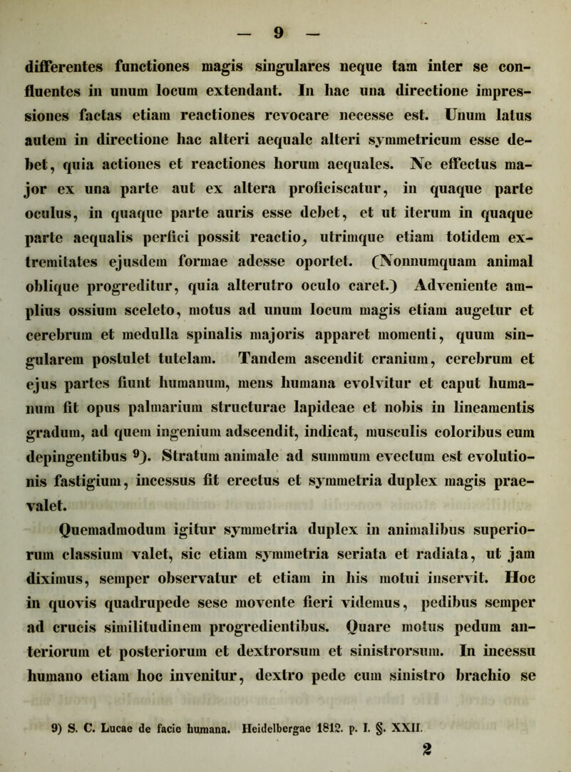 differentes functiones magis singulares neque tam inter se con- fluentes in unum locum extendant. In hac una directione impres- siones factas etiam reactiones revocare necesse est. Unum latus autem in directione hac alteri aequale alteri symmetricum esse de- bet, quia actiones et reactiones horum aequales. Ne effectus ma- jor ex una parte aut ex altera proficiscatur, in quaque parte oculus, in quaque parte auris esse debet, et ut iterum in quaque parte aequalis perfici possit reactio^ utrimque etiam totidem ex- tremitates ejusdem formae adesse oportet. (Nonnumquam animal oblique progreditur, quia alterutro oculo caret.) Adveniente am- plius ossium sceleto, motus ad unum locum magis etiam augetur et cerebrum et medulla spinalis majoris apparet momenti, quum sin- gularem postulet tutelam. Tandem ascendit cranium, cerebrum et ejus partes fiunt humanum, mens humana evolvitur et caput huma- num fit opus palmarium structurae lapideae et nobis in lineamentis gradum, ad quem ingenium adseendit, indicat, musculis coloribus eum depingentibus 9). Stratum animale ad summum evectum est evolutio- nis fastigium, incessus fit erectus et symmetria duplex magis prae- valet. Quemadmodum igitur symmetria duplex in animalibus superio- rum classium valet, sic etiam symmetria seriata et radiata, ut jam diximus, semper observatur et etiam in bis motui inservit. Hoc in quovis quadrupede sese movente fieri videmus, pedibus semper ad crucis similitudinem progredientibus. Quare motus pedum an- teriorum et posteriorum et dextrorsum et sinistrorsum. In incessu humano etiam hoc invenitur, dextro pede cum sinistro brachio se 9) S. C. Lucae de facie humana. Heidelbergae 1812. p. I. §. XXII. 2