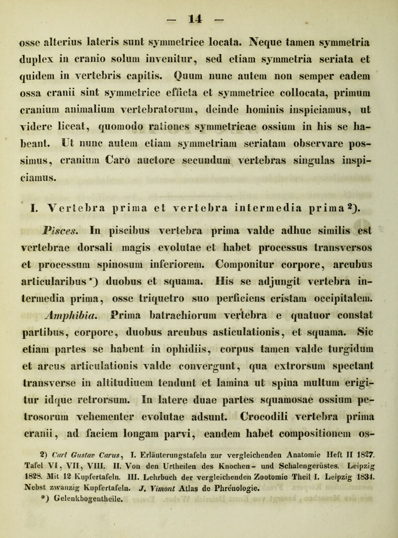 osse alterius lateris sunt symmetrice locata. Neque tamen symmetria duplex in cranio solum invenitur, sed etiam symmetria seriata et quidem in vertebris capitis. Quum nunc autem non semper eadem ossa cranii sint symmetrice efficta et symmetrice collocata, primum cranium animalium vertebratorum, deinde hominis inspiciamus, ut videre liceat, quomodo rationes symmetricae ossium in his se ha- beant. Ut nunc autem etiam symmetriam seriatam observare pos- simus, cranium Caro auctore secundum vertebras singulas inspi- ciamus. I. Vertebra prima et vertebra intermedia prima2}. Pisces. In piscibus vertebra prima valde adhuc similis est vertebrae dorsali magis evolutae et habet processus transversos et processum spinosum inferiorem. Componitur corpore, arcubus articularibus*) duobus et squama. His se adjungit vertebra in- termedia prima, osse triquetro suo perficiens cristam occipitalem. Amphibia. Prima batrachiorum vertebra e quatuor constat partibus, corpore, duobus arcubus asticulationis, et squama. Sic etiam partes se habent in opliidiis, corpus tamen valde turgidum et arcus articulationis valde convergunt, qua extrorsum spectant transverse in altitudinem tendunt et lamina ut spina multum erigi- tur idque retrorsum. In latere duae partes squamosae ossium pe- trosorum vehementer evolutae adsunt. Crocodili vertebra prima cranii, ad faciem longam parvi, eandem habet compositionem os- 2) Cari Gustav Carus, I. Erlauterungstafeln zur vergleichenden Anatomie Heft II 1827. Tafel VI, VII, VIII. II. Von den Urtheilen des Knochen- und Schalengeriistes. Leipzig 1828. Mit 12 Kupfertafeln. III. Lehrbuch der vergleichenden Zootomie Theil I. Leipzig 1834. Nebst zvvanzig Kupfertafeln. J. Vimonl Atlas de Phrenologie. *) Gelenkbogentheile.