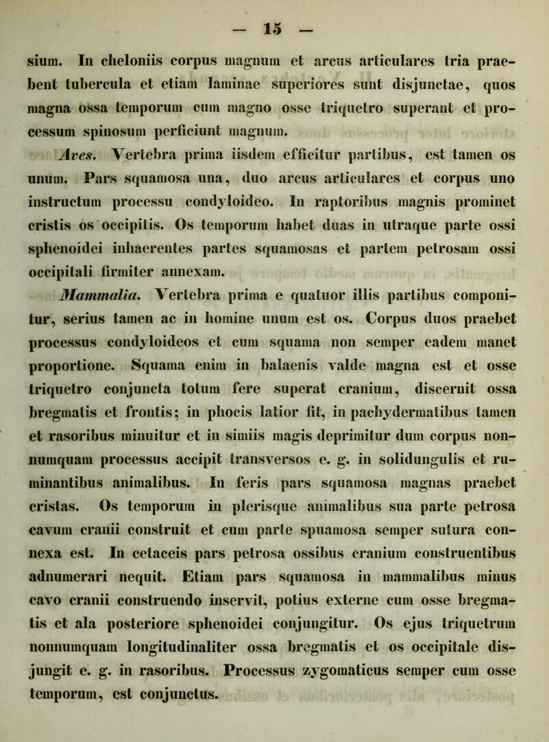 sium. In cheloniis corpus magnum et arcus articulares tria prae- bent tubercula et etiam laminae superiores sunt disjunctae, quos magna ossa temporum cum magno osse triquetro superant et pro- cessum spinosum perficiunt magnum. Aves. Vertebra prima iisdem efficitur partibus, est tamen os unum. Pars squamosa una, duo arcus articulares et corpus uno instructum processu condyloideo. In raptoribus magnis prominet cristis os occipitis. Os temporum habet duas in utraque parte ossi spbenoidei inhaerentes partes squamosas et partem petrosam ossi occipitali firmiter annexam. Mammalia. Vertebra prima e quatuor illis partibus componi- tur, serius tamen ac in homine unum est os. Corpus duos praebet processus condyloideos et cum squama non semper eadem manet proportione. Squama enim in balaenis valde magna est et osse triquetro conjuncta totum fere superat cranium, discernit ossa bregmatis et frontis; in phocis latior fit, in pachydermatibus tamen et rasoribus minuitur et in simiis magis deprimitur dum corpus non- numquam processus accipit transversos e. g. in solidungulis et ru- minantibus animalibus. In feris pars squamosa magnas praebet cristas. Os temporum in plerisque animalibus sua parte petrosa cavum cranii construit et cum parte spuamosa semper sutura con- nexa est. In cetaceis pars petrosa ossibus cranium construentibus adnumerari nequit. Etiam pars squamosa in mammalibus minus cavo cranii construendo inservit, potius externe cum osse bregma- tis et ala posteriore sphenoidei conjungitur. Os ejus triquetrum nonnumquam longitudinaliter ossa bregmatis et os occipitale dis- jungit e. g. in rasoribus. Processus zygomaticus semper cum osse temporum, est conjunctus.