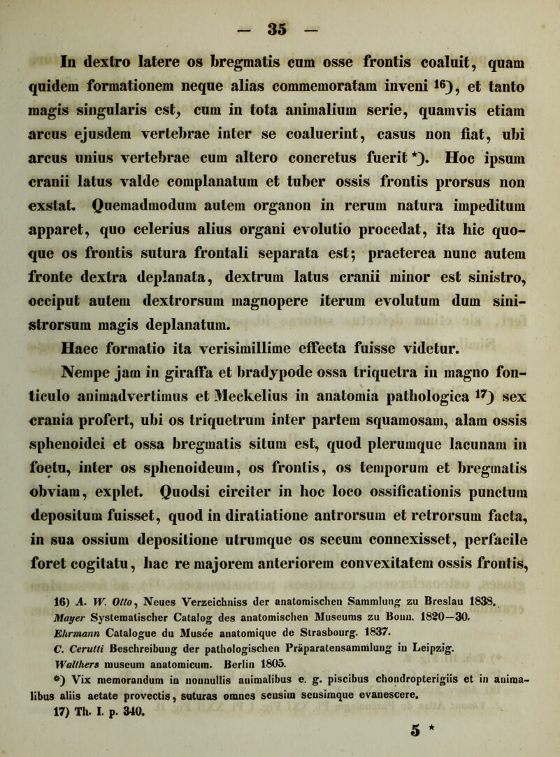 In dextro latere os bregmatis cum osse frontis coaluit, quam quidem formationem neque alias commemoratam inveni 16), et tanto magis singularis est, cum in tota animalium serie, quamvis etiam arcus ejusdem vertebrae inter se coaluerint, casus non fiat, ubi arcus unius vertebrae cum altero concretus fuerit *). Hoc ipsum cranii latus valde complanatum et tuber ossis frontis prorsus non exstat. Quemadmodum autem organon in rerum natura impeditum apparet, quo celerius alius organi evolutio procedat, ita hic quo- que os frontis sutura frontali separata est; praeterea nunc autem fronte dextra deplanata, dextrum latus cranii minor est sinistro, occiput autem dextrorsum magnopere iterum evolutum dum sini- strorsum magis deplanatum. Haec formatio ita verisimillime effecta fuisse videtur. Nempe jam in giraffa et bradypode ossa triquetra in magno fon- \ ticulo animadvertimus et Meckelius in anatomia pathologica sex crania profert, uhi os triquetrum inter partem squamosam, alam ossis sphenoidei et ossa bregmatis situm est, quod plerumque lacunam in foetu, inter os sphenoideum, os frontis, os temporum et bregmatis obviam, explet. Quodsi circiter in hoc loco ossificationis punctum depositum fuisset, quod in diratiatione antrorsum et retrorsum facta, in sua ossium depositione utrumque os secum connexisset, perfacile foret cogitatu, hac re majorem anteriorem convexitatem ossis frontis, 16) A. W. Ollo, Neues Verzeichniss der anatomischen Sammlung zu Breslau 1838. 1Wayer Systeraalischer Catalog des auatomischen Museums zu Bouu. 1820—30. Elirmann Catalogue du Musee anatomique de Strasbourg. 1837. C. Cerutti Beschreibung der pathologischen Praparatensammlung iu Leipzig. Walthers museum anatomicum. Berlin 1805. *) Vix memorandum in nonnullis animalibus e. g. piscibus chondropterigiis et in anima- libus aliis aetate provectis, suturas omnes sensim sensimque evanescere. 17) Th. I. p. 340. ★ 5