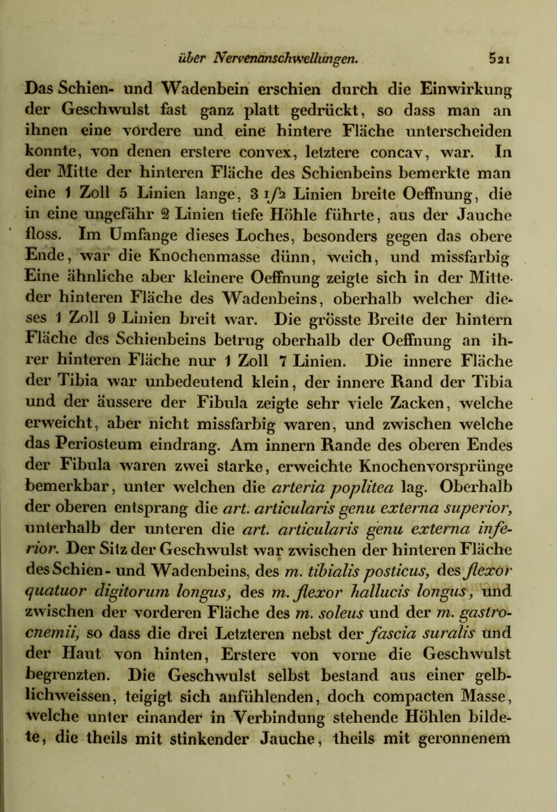 Das Schien- und Wadenbein erschien durch die Einwirkung der Geschwulst fast ganz platt gedrückt, so dass man an ihnen eine vordere und eine hintere Fläche unterscheiden konnte, von denen erstere convex, letztere concav, war. In der Mitte der hinteren Fläche des Schienbeins bemerkte man eine 1 Zoll 5 Linien lange, 3 i/h Linien breite Oeffnung, die in eine ungefähr 2 Linien tiefe Höhle führte, aus der Jauche floss. Im Umfange dieses Loches, besonders gegen das obere Ende, war die Knochenmasse dünn, weich, und missfarbig Eine ähnliche aber kleinere Oeffnung zeigte sich in der Mitte- der hinteren Fläche des Wadenbeins, oberhalb welcher die- ses 1 Zoll 9 Linien breit war. Die grösste Breite der hintern Fläche des Schienbeins betrug oberhalb der Oeffnung an ih- rer hinteren Fläche nur 1 Zoll 7 Linien. Die innere Fläche der Tibia war unbedeutend klein, der innere Rand der Tibia und der äussere der Fibula zeigte sehr viele Zacken, welche erweicht, aber nicht missfarbig waren, und zwischen welche das Periosteum eindrang. Am innern Rande des oberen Endes der Fibula waren zwei starke, erweichte Knochenvorsprünge bemerkbar, unter welchen die arteria poplitea lag. Oberhalb der oberen entsprang die art. articularis genu externa Superior, unterhalb der unteren die art. articularis genu externa infe- rior. Der Sitz der Geschwulst war zwischen der hinteren Fläche des Schien - und Wadenbeins, des m. tibialis posticus, des flexor quatuor digitorum longus, des m. flexor hallucis longus, und zwischen der vorderen Fläche des m. soleus und der m. gastro- cnemii, so dass die drei Letzteren nebst der fascia suralis und der Haut von hinten, Erstere von vorne die Geschwulst begrenzten. Die Geschwulst selbst bestand aus einer gelb- lichweissen, teigigt sich anfühlenden, doch compacten Masse, welche unter einander in Verbindung stehende Hohlen bilde- te, die theils mit stinkender Jauche, theils mit geronnenem
