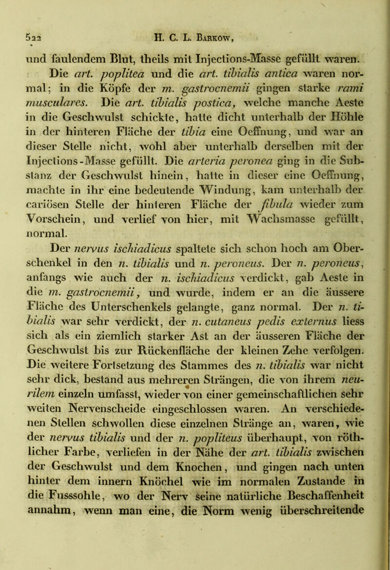 und faulendem Blut, theils mit Injections-Masse gefüllt waren. Die art. poplitea und die art. tibialis antica waren nor- mal; in die Köpfe der m. gastrocnemii gingen starke rami musculares. Die art. tibialis postica, welche manche Aeste in die Geschwulst schickte, hatte dicht unterhalb der Höhle in der hinteren Flache der tibia eine Oeffnung, und war an dieser Stelle nicht, wohl aber unterhalb derselben mit der Injections-Masse gefüllt. Die arteria peronea ging in die Sub- stanz der Geschwulst hinein, hatte in dieser eine Oeffnung, machte in ihr eine bedeutende Windung, kam unterhalb der cariösen Stelle der hinteren Fläche der fibula wieder zum Vorschein, und verlief von hier, mit Wachsmasse gefüllt, normal. Der nervus ischiadicus spaltete sich schon hoch am Ober- schenkel in den n. tibialis und n. peroneus. Der n. peroneus, anfangs wie auch der n. ischiadicus verdickt, gab Aeste in die m. gastrocnemii, und wurde, indem er an die äussere Fläche des Unterschenkels gelangte, ganz normal. Der n. ti- bialis war sehr verdickt, der n. cutaneus pedis externus liess sich als ein ziemlich starker Ast an der äusseren Fläche der Geschwulst bis zur Rückenfläche der kleinen Zehe verfolgen. Die weitere Fortsetzung des Stammes des n. tibialis war nicht sehr dick, bestand aus mehreren Strängen, die von ihrem neu- rilem einzeln umfasst, wieder von einer gemeinschaftlichen sehr weiten Nervenscheide ein geschlossen waren. An verschiede- nen Stellen schwollen diese einzelnen Stränge an, waren, wie der nervus tibialis und der n. popliteus überhaupt, von röth- licher Farbe, verliefen in der Nähe der art. tibialis zwischen der Geschwulst und dem Knochen, und gingen nach unten hinter dem innern Knöchel wie im normalen Zustande in die Fusssohle, wo der Nerv seine natürliche Beschaffenheit annahm, wenn man eine, die Norm wenig überschreitende
