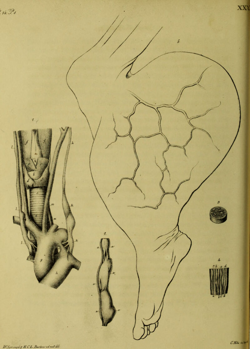H.C.L .Barkcw'ad not Jet C.Hol* inUf*