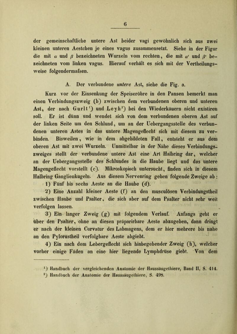 der gemeinschaftliche untere Ast beider vagi gewöhnlich sich aus zwei kleinen unteren Aestchen je eines vagus zusammensetzt. Siehe in der Figur die mit « und ß bezeichneten Wurzeln vom rechten, die mit «' und ß‘ be- zeichneten vom linken vagus. Hierauf verhält es sich mit der Vertheilungs- weise folgendermafsen. A. Der verbundene untere Ast, siehe die Fig. a. Kurz vor der Einsenkung der Speiseröhre in den Pansen bemerkt man einen Verbindungszweig (b) zwischen dem verbundenen oberen und unteren Ast, der nach Gurlt1) und Leyh2) bei den Wiederkäuern nicht existiren soll. Er ist dünn und wendet sich von dem verbundenen oberen Ast auf der linken Seite um den Schlund, um an der Uebergangsstelle des verbun- denen unteren Astes in das untere Magengeflecht sich mit diesem zu ver- binden. Bisweilen, wie in dem abgebildeten Fall, entsteht er aus dem oberen Ast mit zwei Wurzeln. Unmittelbar in der Nähe dieses Verbindungs- zweiges stellt der verbundene untere Ast eine Art Halbring dar, welcher an der Uebergangsstelle des Schlundes in die Haube liegt und das untere Magengeflecht vorstellt (c). Mikroskopisch untersucht, finden sich in diesem Halbring Ganglienkugeln. Aus diesem Nervenring gehen folgende Zweige ab : 1) Fünf bis sechs Aeste an die Haube (d). 2) Eine Anzahl kleiner Aeste (f) an den musculösen Verbindungstheil zwischen Haube und Psalter, die sich aber auf dem Psalter nicht sehr weit verfolgen lassen. 3) Ein langer Zweig (g) mit folgendem Verlauf. Anfangs geht er über den Psalter, ohne an diesen präparirbare Aeste abzugeben, dann dringt er nach der kleinen Curvatur des Labmagens, dem er hier mehrere bis nahe an den Pylorustheil verfolgbare Aeste abgiebt. 4) Ein nach dem Lebergeflecht sich hinbegebender Zweig (h), welcher vorher einige Fäden an eine hier liegende Lymphdrüse giebt. Von dem \) Handbuch der vergleichenden Anatomie der Haussäugethiere, Band II, S. 414. 2) Handbuch der Anatomie der Haussäugethiere, S. 498.
