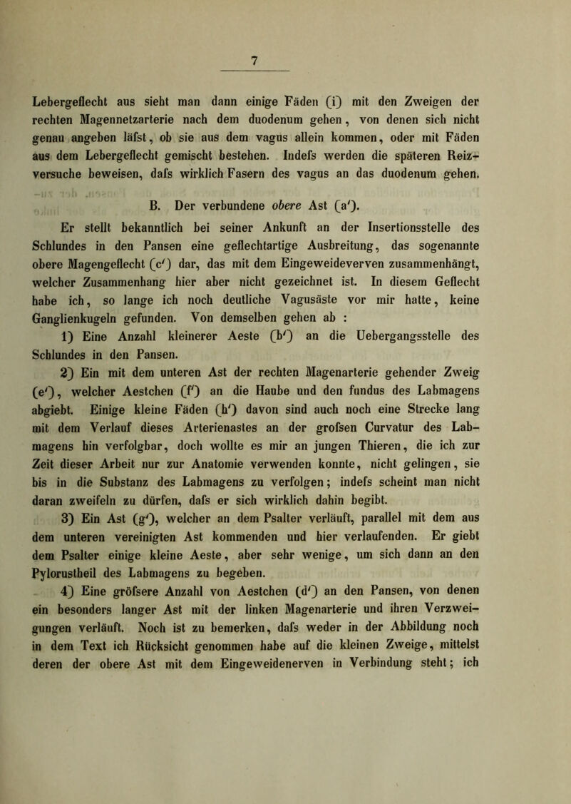 Lebergeflecht aus siebt man dann einige Fäden (T) mit den Zweigen der rechten Magennetzarterie nach dem duodenum gehen, von denen sich nicht genau angeben läfst, ob sie aus dem vagus allein kommen, oder mit Fäden aus dem Lebergeflecht gemischt bestehen. Indefs werden die späteren Reiz- versuche beweisen, dafs wirklich Fasern des vagus an das duodenum gehen. B. Der verbundene obere Ast (V). Er stellt bekanntlich bei seiner Ankunft an der Insertionsstelle des Schlundes in den Pansen eine geflechtartige Ausbreitung, das sogenannte obere Magengeflecht (V) dar, das mit dem Eingeweideverven zusammenhängt, welcher Zusammenhang hier aber nicht gezeichnet ist. In diesem Geflecht habe ich, so lange ich noch deutliche Vagusäste vor mir hatte, keine Ganglienkugeln gefunden. Von demselben gehen ab : 1) Eine Anzahl kleinerer Aeste (bQ an die Uebergangsstelle des Schlundes in den Pansen. 2) Ein mit dem unteren Ast der rechten Magenarterie gehender Zweig (e'), welcher Aestchen (f) an die Haube und den fundus des Labmagens abgiebt. Einige kleine Fäden (h') davon sind auch noch eine Strecke lang mit dem Verlauf dieses Arterienastes an der grofsen Curvatur des Lab- magens hin verfolgbar, doch wollte es mir an jungen Thieren, die ich zur Zeit dieser Arbeit nur zur Anatomie verwenden konnte, nicht gelingen, sie bis in die Substanz des Labmagens zu verfolgen; indefs scheint man nicht daran zweifeln zu dürfen, dafs er sich wirklich dahin begibt. 3) Ein Ast (g'), welcher an dem Psalter verläuft, parallel mit dem aus dem unteren vereinigten Ast kommenden und hier verlaufenden. Er giebt dem Psalter einige kleine Aeste, aber sehr wenige, um sich dann an den Pylorustheil des Labmagens zu begeben. 4) Eine gröfsere Anzahl von Aestchen (d'} an den Pansen, von denen ein besonders langer Ast mit der linken Magenarterie und ihren Verzwei- gungen verläuft. Noch ist zu bemerken, dafs weder in der Abbildung noch in dem Text ich Rücksicht genommen habe auf die kleinen Zweige, mittelst deren der obere Ast mit dem Eingeweidenerven in Verbindung steht; ich