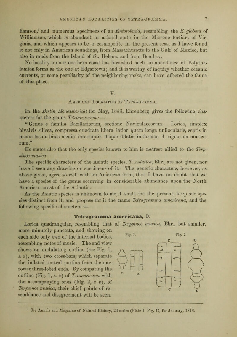 liamson/ and numerous specimens of an Entosolenia, resembling the E. ghbosa of Williamson, which is abundant in a fossil state in the Miocene tertiary of Vir- ginia, and which appears to be a cosmopolite in the present seas, as I have found it not only in American soundings, from Massachusetts to the Gulf of Mexico, but also in muds from the Island of St. Helena, and from Bombay. No locality on our northern coast has furnished such an abundance of Polytha- lamian forms as the one at Edgartown; and it is worthy of inquiry whether oceanic currents, or some peculiarity of the neighboring rocks, can have affected the fauna of this place. V. American Localities of Tetragramma. In the Berlin Monatsbericlit for May, 1843, Ehrenberg gives the following cha- racters for the genus Tetragramma:— “ Genus e familia Bacillariorum, sectione Naviculaceorum. Lorica, simplex bivalvis silicea, compressa quadrata libera latior quam longa unilocularis, septis in medio loculo binis medio interruptis ibique dilatis in forman 4 signorum musico- rum.” He states also that the only species known to him is nearest allied to the Terp- sinoe musica. The specific characters of the Asiatic species, 71 Asiatica, Ehr., are not given, nor have I seen any drawing or specimens of it. The generic characters, however, as above given, agree so well with an American form, that I have no doubt that we have a species of the genus occurring in considerable abundance upon the North American coast of the Atlantic. As the Asiatic species is unknown to me, I shall, for the present, keep our spe- cies distinct from it, and propose for it the name Tetragramma americana, and the following specific characters :— Tetragramma americana, B. Lorica quadrangular, resembling that of Terpsinoe musica, Ehr., but smaller, more minutely punctate, and showing on each side only two of the internal bodies, resembling notes of music. The end view shows an undulating outline (see Fig. 1, A b), with two cross-bars, which separate the inflated central portion from the nar- rower three-lobed ends. By comparing the outline (Fig. 1, a, b) of 71 americana with the accompanying ones (Fig. 2, c d), of Terpsinoe musica, their chief points of re- semblance and disagreement will be seen. See Annals and Magazine of Natural History, 2d series (Plate I. Fig. 1), for January, 1848.