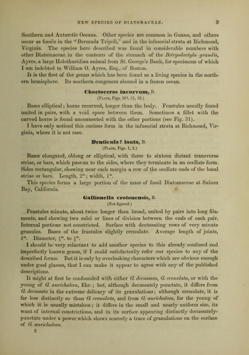 Southern and Antarctic Oceans. Other species are common in Guano, and others occur as fossils in the “Bermuda Tripoli,” and in the infusorial strata at Richmond, Virginia. The species here described was found in considerable numbers with other Diatomaceae in the contents of the stomach of the Botryodactyla grandis, Ayres, a large Holothuridian animal from St. George’s Bank, for specimens of which I am indebted to William 0. Ayres, Esq., of Boston. It is the first of the genus which has been found as a living species in the north- ern hemisphere. Its southern congeners abound in a frozen ocean. Chaetoceros incurTuni, B. (Plate, Pigs. 30?, 31, 32.) Bases elliptical; horns recurved, longer than the body. Frustules usually found united in pairs, with a void space between them. Sometimes a fillet with the curved horns is found unconnected with the other portions (see Fig. 31). I have only noticed this curious form in the infusorial strata at Richmond, Vir- ginia, where it is not rare. Denticula? lauta, B. (Plate, Figs. 1, 2.) Bases elongated, oblong or elliptical, with three to sixteen distant transverse striae, or bars, which pass on to the sides, where they terminate in an ocellate form. Sides rectangular, showing near each margin a row of the ocellate ends of the basal striae or bars. Length, 2'; width, i™. This species forms a large portion of the mass of fossil Diatomaceae at Suisun Bay, California. Galliooella crotoiiensis, B. (Not figured.) Frustules minute, about twice longer than broad, united by pairs into long fila- ments, and showing two sulci or lines of division between the ends of each pair. Internal portions not constricted. Surface with decussating rows of very minute granules. Bases of the frustules slightly crenulate. Average length of joints, J*. Diameter, to I should be very reluctant to add another species to this already confused and imperfectly known genus, if I could satisfactorily refer our species to any of the described forms. But it is only by overlooking characters which are obvious enough under good glasses, that I can make it appear to agree with any of the published descriptions. It might at first be confounded with either O. decussata, O. crenidata, or with the young of Q. aurichalcea, Ehr.; but, although decussately punctate, it differs from Q. decussata in the extreme delicacy of its granulations; although crenulate, it is far less distinctly so than O. crenidata, and from O. aurichalcea, for the young of which it is usually mistaken; it differs in the small and nearly uniform size, its want of internal constrictions, and in its surface appearing distinctly decussately- punctate under a power which shows scarcely a trace of granulations on the surface of Q. aurichalcea. 2
