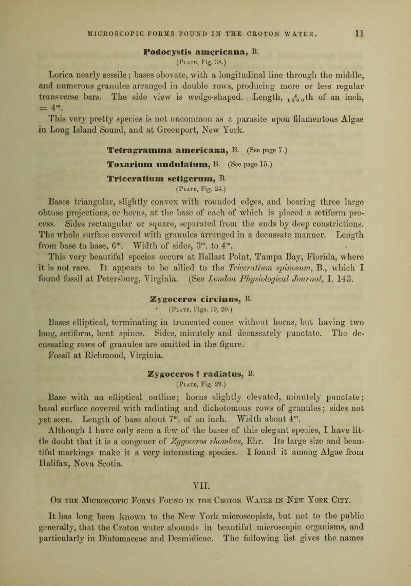 Podocystis americana, B. (Plate, Fig. 38.) Lorica nearly sessile; bases obovate, with a longitudinal line through the middle, and numerous granules arranged in double rows, producing more or less regular transverse bars. The side view is wedge-shaped. Length, y/o^th of an inch, — 4“. This very pretty species is not uncommon as a parasite upon filamentous Algae in Long Island Sound, and at Greenport, New York. TefragraoBMia americana, B. (See page 7.) Toxariiim iindulatuiii, B. (See page 15.) Triceratuim setigeriim, B. (Plate, Fig. 24.) Bases triangular, slightly convex with rounded edges, and bearing three large obtuse projections, or horns, at the base of each of which is placed a setiform pro- cess. Sides rectangular or square, separated from the ends by deep constrictions. The whole surface covered with granules arranged in a decussate manner. Length from base to base, 6“. Width of sides, 3“. to 4“. This very beautiful species occurs at Ballast Point, Tampa Bay, Florida, where it is not rare. It appears to be allied to the Triceraiium spinosum, B., which I found fossil at Petersburg, Virginia. (See London Physiological Journal, I. 143. Zygoceros circimis, B. • (Plate, Figs. 19, 20.) Bases elliptical, terminating in truncated cones without horns, but having two long, setiform, bent spines. Sides, minutely and decussately punctate. The de- cussating rows of granules are omitted in the figure. Fossil at Richmond, Virginia. Zygoceros? radiatus, B. (Plate, Fig. 29.) Base with an elliptical outline; horns slightly elevated, minutely punctate; basal surface covered with radiating and dichotomous rows of granules; sides not yet seen. Length of base about 7™. of an inch. Width about 4™. Although I have only seen a few of the bases of this elegant species, I have lit- tle doubt that it is a congener of Zygoceros rhombus, Ehr. Its large size and beau- tiful markings make it a very interesting species. I found it among Algae from Halifax, Nova Scotia. VII. On the Microscopic Forms Found in the Croton Water in New York City. It has long been known to the New York microscopists, but not to the public generally, that the Croton water abounds in beautiful microscopic organisms, and particularly in Diatomaceae and Desmidieae. The following list gives the names