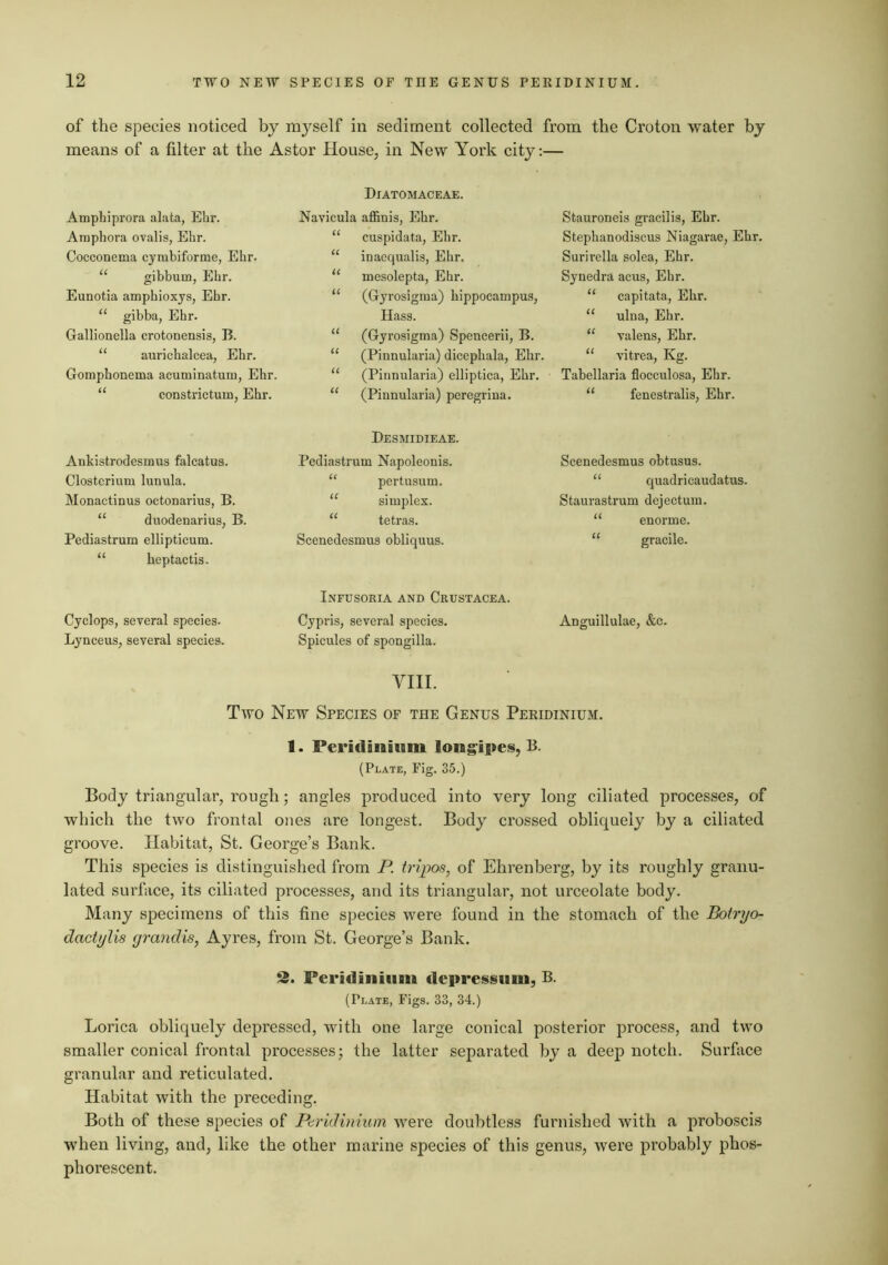 of the species noticed by myself in sediment collected from the Croton water by means of a filter at the Astor House, in New York city;— Amphiprora alata, Ehr. Amphora ovalis, Ehr. Cocconema cymbiforme, Ehr. “ gibbum, Ehr. Eunotia amphioxys, Ehr. “ gibba, Ehr. Gallionella crotonensis, B. “ aurichalcea, Ehr. Gomphonema acuminatum, Ehr. “ constrictum, Ehr. Ankistrodesmus falcatus. Clostcrium lunula. Monactinus octonarius, B. “ duodenarius, B. Pediastrum ellipticum. “ heptactis. Cyclops, several species. Lynceus, several species. Diatomaceae. Navicula afl&nis, Ehr. “ cuspidata, Ehr. “ inaequalis, Ehr. “ mesolepta, Ehr. “ (Gyrosigraa) hippocampus, Hass. “ (Gyrosigma) Spencerii, B. “ (Pinnularia) dicephala, Ehr. “ (Pinnularia) elliptica, Ehr. “ (Pinnularia) peregrina. Desmidieae. Pediastrum Napoleonis. “ pertusum. “ simplex. “ tetras. Scenedesmus obliquus. Infusoria and Crustacea. Cypris, several species. Spicules of spongilla. VIII. Stauroneis gracilis, Ehr. Stephanodiscus Niagarae, Ehr. Surirella solea, Ehr. Synedra acus, Ehr. “ capitata, Ehr. “ ulna, Ehr. “ valens, Ehr. “ vitrea. Kg. Tabellaria flocculosa, Ehr. “ fenestralis, Ehr. Scenedesmus obtusus. “ quadricaudatus. Staurastrum dejectum. “ enorme. “ gracile. Anguillulae, &c. Two New Species of the Genus Peridinium. 1. Peridinium lon^ipes, B. (Plate, Fig. 35.) Body triangular, rough; angles produced into very long ciliated processes, of which the two frontal ones are longest. Body crossed obliquely by a ciliated groove. Habitat, St. George’s Bank. This species is distinguished from P. tripos, of Ehrenberg, by its roughly granu- lated surface, its ciliated processes, and its triangular, not urceolate body. Many specimens of this fine species were found in the stomach of the Botryo- dactylis (jrandis, Ayres, from St. George’s Bank. 3. Peridinium depressiim, B. (Plate, Figs. 33, 34.) Lorica obliquely depressed, with one large conical posterior process, and two smaller conical frontal processes j the latter separated by a deep notch. Surface granular and reticulated. Habitat with the preceding. Both of these species of Paridiumin were doubtless furnished with a proboscis when living, and, like the other marine species of this genus, were probably phos- phorescent.
