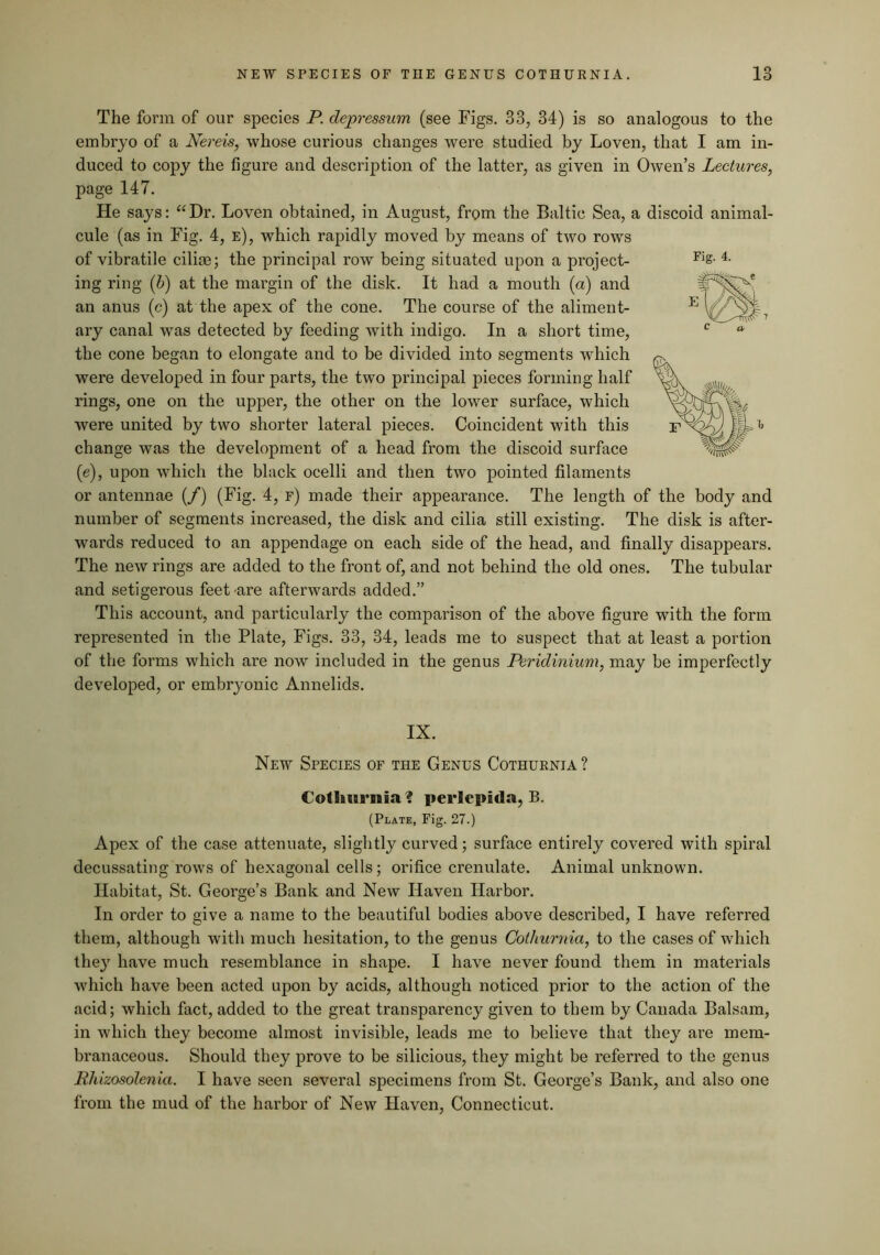 The form of our species P. depressum (see Figs. 33, 34) is so analogous to the embryo of a Nereis, whose curious changes were studied by Loven, that I am in- duced to copy the figure and description of the latter, as given in Owen’s Lectures, page 147. He says: “Dr. Loven obtained, in August, from the Baltic Sea, a discoid animal- cule (as in Fig. 4, e), which rapidly moved by means of two rows of vibratile ciliae; the principal row being situated upon a project- ing ring {h) at the margin of the disk. It had a mouth (a) and an anus (c) at the apex of the cone. The course of the aliment- ary canal was detected by feeding with indigo. In a short time, the cone began to elongate and to be divided into segments which were developed in four parts, the two principal pieces forming half rings, one on the upper, the other on the lower surface, which were united by two shorter lateral pieces. Coincident with this change was the development of a head from the discoid surface (e), upon which the black ocelli and then two pointed filaments or antennae (/) (Fig. 4, f) made their appearance. The length of the body and number of segments increased, the disk and cilia still existing. The disk is after- wards reduced to an appendage on each side of the head, and finally disappears. The new rings are added to the front of, and not behind the old ones. The tubular and setigerous feet are afterwards added.” This account, and particularly the comparison of the above figure with the form represented in the Plate, Figs. 33, 34, leads me to suspect that at least a portion of the forms which are now included in the genus Peridinium, may be imperfectly developed, or embryonic Annelids. IX. New Species of the Genus Cothuenia ? Cothurnia ? perlepida, B. (Plate, Fig. 27.) Apex of the case attenuate, slightly curved; surface entirely covered with spiral decussating rows of hexagonal cells; orifice crenulate. Animal unknown. Habitat, St. George’s Bank and New Haven Harbor. In order to 2,ive a name to the beautiful bodies above described, I have referred them, although with much hesitation, to the genus Cothurnia, to the cases of which they have much resemblance in shape. I have never found them in materials which have been acted upon by acids, although noticed prior to the action of the acid; which fact, added to the great transparency given to them by Canada Balsam, in which they become almost invisible, leads me to believe that they ai-e mem- branaceous. Should they prove to be silicious, they might be referred to the genus Ehizosolenia. I have seen several specimens from St. George’s Bank, and also one from the mud of the harbor of New Haven, Connecticut.