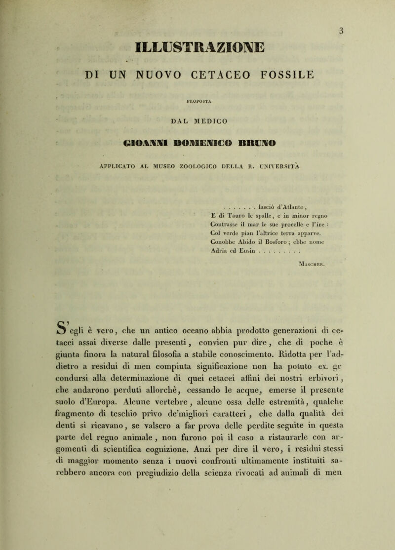 DI UN NUOVO CETACEO FOSSILE PROPOSTA DAL MEDICO GIOIRMI DOMENICO DRENO APPLICATO AL MUSEO ZOOLOGICO DELLA R. UNIVERSITÀ lasciò (l’Atlante , E di Tauro le spalle, e in minor regno Contrasse il mar le sue procelle e l’ire : Col verde pian l’altrice terra apparve. Conobbe Abido il Bosforo ; ebbe nome Adria cd Eusin M ASCHER. S egli è vero, che un antico oceano abbia prodotto generazioni di ce- tacei assai diverse dalle presenti, convien pur dire, che di poche è giunta finora la naturai filosofia a stabile conoscimento. Ridotta per l'ad- dietro a residui di men compiuta significazione non ha potuto ex. gr condursi alla determinazione di quei cetacei affini dei nostri erbivori, che andarono perduti allorché, cessando le acque, emerse il presente suolo d’Europa. Alcune vertebre, alcune ossa delle estremità, qualche fragmento di teschio privo de’migliori caratteri , che dalla qualità dei denti si ricavano, se valsero a far prova delle perdite seguite in questa parte del regno animale , non furono poi il caso a instaurarle con ar- gomenti di scientifica cognizione. Anzi per dire il vero, i residui stessi di maggior momento senza i nuovi confronti ultimamente instituiti sa- rebbero ancora con pregiudizio della scienza invocati ad animali di men