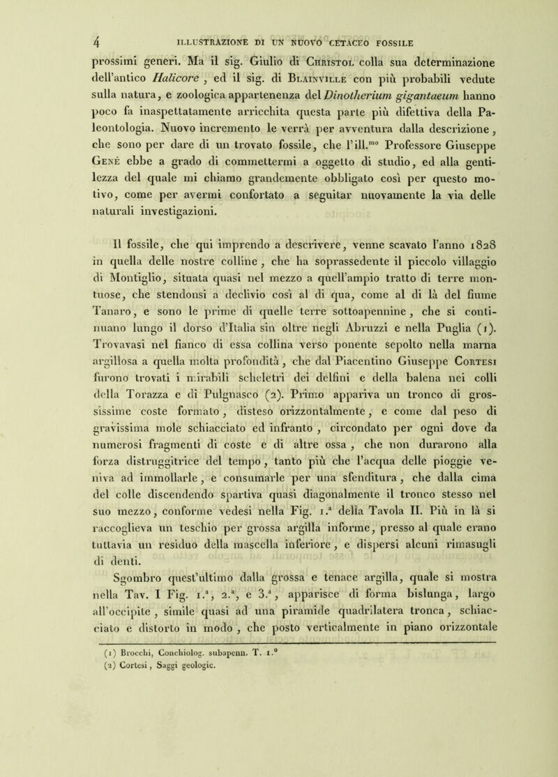 prossimi generi. Ma il sig. Giulio di Christol colla sua determinazione dell’antico Halicore , ed il sig. di Blainville con più probabili vedute sulla natura , e zoologica appartenenza del Vinotherium gigantaeum hanno poco fa inaspettatamente arricchita questa parte più difettiva della Pa- leontologia. Nuovo incremento le verrà per avventura dalla descrizione , che sono per dare di un trovato fossile, che l’ill.mo Professore Giuseppe Gene ebbe a grado di commettermi a oggetto di studio, ed alla genti- lezza del quale mi chiamo grandemente obbligato così per questo mo- tivo, come per avermi confortato a seguitar nuovamente la via delle naturali investigazioni. Il fossile, che qui imprendo a descrivere, venne scavato l’anno 1828 in quella delle nostre colline , che ha soprassedente il piccolo villaggio di Montiglio, situata quasi nel mezzo a quell’ampio tratto di terre mon- tuose, che stendonsi a declivio così al di qua, come al di là del fiume Tanaro, e sono le prime di quelle terre sottoapennine , che si conti- nuano lungo il dorso d’Italia sin oltre negli Abruzzi e nella Puglia (1). Trovavasi nel fianco di essa collina verso ponente sepolto nella marna argillosa a quella molta profondità , che dal Piacentino Giuseppe Cortesi furono trovati i mirabili scheletri dei delfini e della balena nei colli della Torazza e di Pulgnasco (2). Primo appariva un tronco di gros- sissime coste formato, disteso orizzontalmente, e come dal peso di gravissima mole schiacciato ed infranto , circondato per ogni dove da numerosi fragmenti di coste e di altre ossa , che non durarono alla forza distruggitrice del tempo , tanto più che l’acqua delle pioggie ve- niva ad immollarle, e consumarle per una sfenditura , che dalla cima del colle discendendo spartiva quasi diagonalmente il tronco stesso nel suo mezzo, conforme vedesi nella Fig. i.a delia Tavola II. Più in là si raccoglieva un teschio per grossa argilla informe, presso al quale erano tuttavia un residuo della mascella inferiore , e dispersi alcuni rimasugli di denti. Sgombro quest’ultimo dalla grossa e tenace argilla, quale si mostra nella Tav. I Fig. i.a, 2.% e 3.a, apparisce di forma bislunga, largo all’occipite , simile quasi ad una piramide quadrilatera tronca, schiac- ciato e distorto in modo , che posto verticalmente in piano orizzontale (1) Brocchi, Conchiolog. subapenn. T. i.° (2) Cortesi, Saggi geologie.