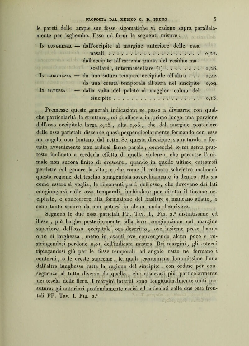 le pareti delle ampie sue fosse zigomatiche vi cadono sopra parallela- mente per isghembo. Esso mi fornì le seguenti misure : In lunghezza — dall’occipite al margine anteriore delle ossa nasali 0,22. dall’occipite all’estrema punta del residuo ma- scellare , intenti ascellare (?) 0,28. In larghezza — da una sutura temporo-occipitale all’altra . . . 0,22. da una cresta temporale all’altra nel sincipite 0,09. In altezza — dalla volta del palato al maggior colmo del sincipite o,i3. Premesse queste generali indicazioni se passo a divisarne con qual- che particolarità la struttura, mi si affaccia in primo luogo una porzione dell’osso occipitale larga 0,15 , alta o,o5 , che dal margine posteriore delle ossa parietali discende quasi perpendicolarmente formando con esse un angolo non lontano dal retto. Se questa direzione sia naturale o for- tuito avvenimento non ardirei farne parola, comecché io mi senta piut- tosto inclinato a crederla effetto di quella violenza, che percosse l’ani- male non ancora finito di crescere, quando in quelle ultime catastrofi perdette col genere la vita, e che come il restante scheletro malmenò questa regione del teschio spingendola soverchiamente in dentro. Ma sia come esseresi voglia, le rimanenti parti dell’osso, che dovevano dai lati congiungersi colle ossa temporali, inchiudere per disotto il forame oc- cipitale, e concorrere alla formazione del basilare o mancano affatto, o sono tanto sconce da non potersi in alcun modo descrivere. Seguono le due ossa parietali PP. Tav. I, Fig. 2.a distintissime ed illese , più larghe postei'iormente alla loro congiunzione col margine superiore dell’osso occipitale ora descritto, ove insieme prese hanno 0,10 di larghezza , meno in avanti ove convergendo alcun poco e re- stringendosi perdono 0,01 dell’indicata misura. Dei margini, gli esterni ripiegandosi giù per le fosse temporali ad angolo retto ne formano i contorni, o le creste supreme, le quali camminano lontanissime luna dall’altra lunghesso tutta la regione del sincipite , con ordine per con- seguenza al tutto diverso da quello , che osservasi più particolarmente nei teschi delle fiere. I margini interni sono longitudinalmente uniti per sutura; gli anteriori profondamente recisi ed articolati colle due ossa fron- tali FF. Tav. I. Fig. 2.a