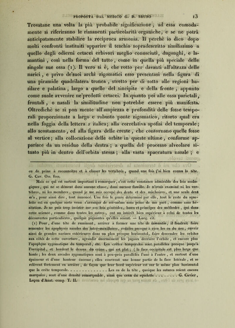 Trovatane una volta la più probabile significazione , ad essa comoda- mente si riferiranno le rimanenti particoWità organiche, e se ne potrà anticipatamente stabilire la reciproca armonia. Il perchè io dico dopo molti confronti instituiti apparire il teschio sopradescritto similissimo a quello degli odierni cetacei erbivori meglio conosciuti, dugonghi, e la- mantini , così nella forma del tutto, come in quella più speciale delle singole sue ossa (i). Il vero si è, che rotto per davanti all’altezza delle narici, e privo de’suoi archi zigomatici esso presentasi nella figura di una piramide quadrilatera tronca , stretto per di sotto alle regioni ba- silare e palatina , largo a quelle del sincipite e della fronte , appunto come suole avvenire ne’predetti cetacei. In quanto poi alle ossa parietali, frontali , o nasali la similitudine non potrebbe essere più manifesta. Oltredichè se si pon mente all’ampiezza e profondità delle fosse tempo- rali proporzionate a largo e robusto ponte zigomatico, ritorto qual era nella foggia della lettera s italica; alla correlativa apofisi del temporale ; allo scostamento, ed alla figura delle creste , che cont ornano quelle fosse al vertice ; alla collocazione delle orbite in queste ultime, conforme ap- parisce da un residuo della destra ; a quella del processo alveolare si- tuato più in dentro dell’orbita stessa ; alla vasta spaccatura nasale ; e eu de peine à reconnoitre et à classer les vertébre's , quand une fois j’ai bien connu la tète. G. Cuv. Oss. foss. Mais ce qui est surtout important à remarquer, c’est cette constance admirable des lois zoolo- giques , qui ne se ddment dans aucune classe , dans aucune faraille. Je n’avais examiné ni les ver- tèbres, ni les membres , quand je me suis occupò des dents et des màchoires, et une seule dent m’a , pour ainsi dire , tout annoncé. Une fois le genre determinò par elle, tout le reste du sque- lette est cn quelquc sorte venu s’arranger de soì-méme sans peine de ma part , comme sans hò- silation. Je ne puis trop insister sur ces lois gònòrales , bases et principes des mòthodes , qui dans rette Science , comme dans toutes les autrcs , ont un intòrét bien supòrieur à celui de toutes les dòcouvertes particulières , quelque piquantes qu’ellcs soient. — Luog. cit. (i) Pour, d’une tète de ruininant, arriver à former une tète de lamantini il faudrait faire remontcr les apopliyses nasales des inter-maxillaires, reduire presque à rien les os du nez, ouvrir ainsi de grandcs narines extérieures dans un pian presque horizontal, faire descendre les orbites aux cótòs de cette ouverture , agrandir énormòment les jugaux derrière l’orbite , et encore plus l’apophysc zygomatique du tcmporal , etc. Les crètcs temporale* sont parallèles presque jusqu’à l’occipital, et bordent le dcssus du cràne , qui est plat ; ( la face occipitale est plus large que haute ; les deux arcades zygomatiques sont à peu-près parallèles l’une à l’autre , et surtout d’une épaisseur et d’une hauteur enorme ; elles couvrent une bonne partie de la face laterale , et se relèvent fortement en arrière , de fafon que leur bord supòrieur est sur le mème pian horizontal que la crete temporale Les os de la tète , quoique les sutures soient encore marquòcs , sont d’unc densité rcmarquable , ainsi que ceux du squelette G. Cuvier , Lefon d’Anat. comp. T. II.