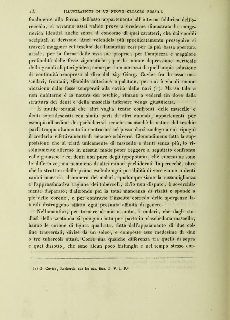 finalmente alla forma dell'osso appartenente all’ interna fabbrica dell’o- recchio, si avranno assai valide prove a crederne dimostrata la conge- nerica identità anche senza il concorso di quei caratteri, che dai condili occipitali si derivano. Anzi volendola più specificatamente proseguire si troverà maggiore col teschio dei lamantini così per la più bassa apertura nasale, per la forma delle ossa sue proprie, per l’ampiezza e maggiore profondità delle fosse zigomatiche , per la minor depressione verticale delle grandi ali pterigoidee, come per la mancanza di quell’ampia soluzione di continuità compresa al dire del sig. Giorg. Cuvier fra le ossa ma- scellari, frontali , sfenoide anteriore e palatine, per cui è via di comu- nicazione dalle fosse temporali alla cavità delle nari (i). Ma se tale a non dubitarne è la natura del teschio, limane a vedersi fin dove dalla struttura dei denti e della mascella inferiore venga giustificata. E inutile oramai che altri voglia tentar confronti delle mascelle e denti sopradescritti con simili parti di altri animali, appartenenti per esempio all’ordine dei pachidermi, conciossiacosaché la natura del teschio parli troppo altamente in contrario, nè possa darsi zoologo a cui ripugni il crederlo effettivamente di cetaceo erbivoro. Cionondimeno fatta la sup- posizione che si tratti unicamente di mascelle e denti senza più, io ri- solutamente affermo in nessun modo poter reggere a seguitato confronto colle ganascie e coi denti non pure degli ippopotami, chè enormi ne sono le differenze, ma nemmeno di altri minori pachidermi. Imperocché, oltre che la struttura delle prime esclude ogni possibilità di vere zanne o denti canini maestri, il numero dei molari, qualunque siane la rassomiglianza e l’approssimativa ragione dei tubercoli, ch’io non disputo, è soverchia- mente disparato; d’altronde poi la total mancanza di risalti e sponde a piè delle corone , e per contrario l’insolito corredo delle sporgenze la- terali distruggono affatto ogni presunta affinità di genere. Ne’lamantini, per tornare al mio assunto, i molari, che dagli stu- diosi della zootomia si pongono otto per parte in ciascheduna mascella, hanno le corone di figura quadrata, fatte dall’appaiamento di due col- line trasversali, divise da un solco, e composte esse medesime di due o tre tubercoli ottusi. Corre una qualche differenza tra quelli di sopra e quei dissotto, che sono alcun poco bislunghi e nel tempo stesso cor- (i) G. Cuyier, Recherch. sur tea osa. foss. T. V. I. P.e