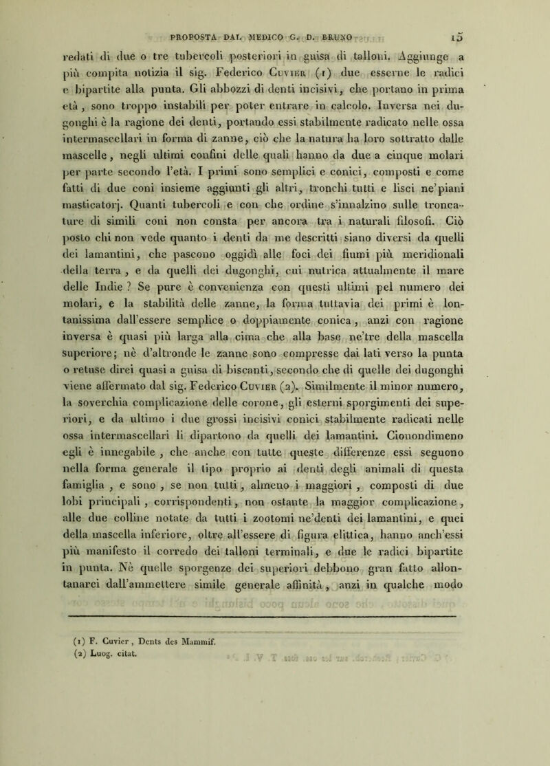 redati di due o tre tubercoli posteriori in guisa di talloni. Aggiunge a più compita notizia il sig. Federico Cuvier (r) due esserne le radici e bipartite alla punta. Gli abbozzi di denti incisivi, che portano in prima età , sono troppo instabili per poter entrare in calcolo. Inversa nei du- gonghi è la ragione dei denti, portando essi stabilmente radicato nelle ossa intermascellari in forma di zanne, ciò che la natura ha loro sottratto dalle mascelle , negli ultimi confini delle quali hanno da due a cinque molari per parte secondo l’età. I primi sono semplici e conici, composti e come fatti di due coni insieme aggiunti gli altri, tronchi tutti e lisci ne’piani masticatorj. Quanti tubercoli e con che ordine s’innalzino sulle tronca- ture di simili coni non consta per ancora tra i naturali filosofi. Ciò posto chi non vede quanto i denti da me descritti siano diversi da quelli dei lamantini, che pascono oggidì alle foci dei fiumi più meridionali della terra , e da quelli dei dugonghi, cui nutrica attualmente il mare delle Indie ? Se pure è convenienza con questi ultimi pel numero dei molari, e la stabilità delle zanne, la forma tuttavia dei primi è lon- tanissima dall’essere semplice o doppiamente conica , anzi con ragione inversa è quasi più larga alla cima che alla base ne’tre della mascella superiore; nè d’altronde le zanne sono compresse dai lati verso la punta o retuse direi quasi a guisa di biscanti, secondo che di quelle dei dugonghi viene alfermato dal sig. Federico Cuvier (2). Similmente il minor numero, la soverchia complicazione delle corone, gli esterni sporgimenti dei supe- riori, e da ultimo i due gi’ossi incisivi conici stabilmente radicati nelle ossa intermascellari li dipartono da quelli dei lamantini. Cionondimeno egli è innegabile , che anche con tutte queste differenze essi seguono nella forma generale il tipo proprio ai denti degli animali di questa famiglia , e sono , se non tutti, almeno i maggiori , composti di due lobi principali , corrispondenti, non ostante la maggior complicazione , alle due colline notate da tutti i zootomi ne’denti dei lamantini, e quei della mascella inferiore, oltre all’essere di figura elittica, hanno anch’essi più manifesto il corredo dei talloni terminali, e due le radici bipartite in punta. Nè quelle sporgenze dei superiori debbono gran fatto allon- tanarci daU’ammettere simile generale affinità, anzi in qualche modo ( 1 ) F. Cuvier , Dents tles Mammif. (2) Luog. citat.