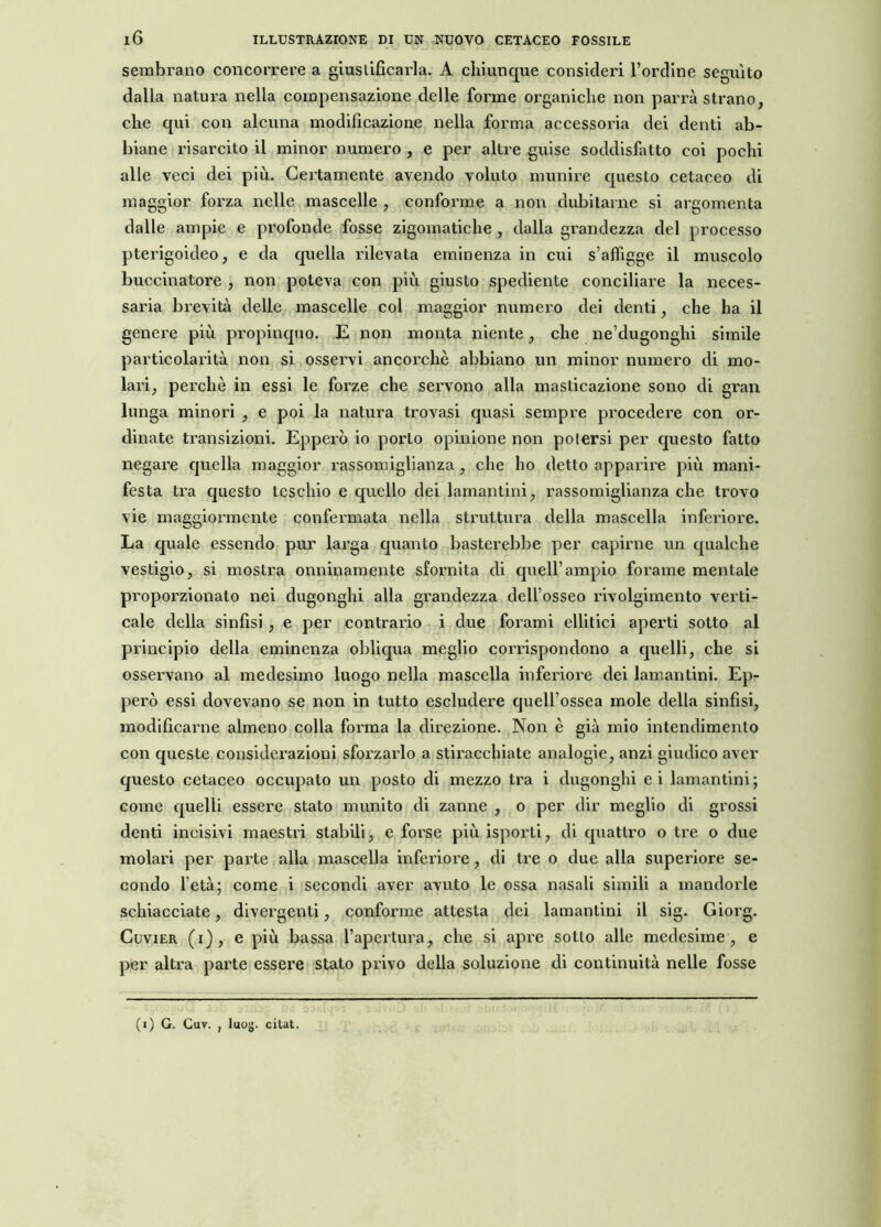 sembrano concorrere a giustificarla. A chiunque consideri l’ordine seguito dalla natura nella compensazione delle forme organiche non parrà strano, che qui con alcuna modificazione nella forma accessoria dei denti ab- biane risarcito il minor numero , e per altre guise soddisfatto coi pochi alle veci dei più. Certamente avendo voluto munire questo cetaceo di maggior forza nelle mascelle , conforme a non dubitarne si argomenta dalle ampie e profonde fosse zigomatiche, dalla grandezza del processo pterigoideo, e da quella rilevata eminenza in cui s’affigge il muscolo buccinatore , non poteva con più giusto spediente conciliare la neces- saria brevità delle mascelle col maggior numero dei denti, che ha il genere più propinquo. E non monta niente, che ne’dugonghi simile particolarità non si osservi ancorché abbiano un minor numero di mo- lari, perchè in essi le forze che servono alla masticazione sono di gran lunga minori , e poi la natura trovasi quasi sempre procedere con or- dinate transizioni. Epperò io porlo opinione non potersi per questo fatto negare quella maggior rassomiglianza , che ho detto apparire più mani- festa tra questo teschio e quello dei lamantini, rassomiglianza che trovo vie maggiormente confermata nella struttura della mascella inferiore. La quale essendo pur larga quanto basterebbe per capirne un qualche vestigio, si mostra onninamente sfornita di quell’ampio forame mentale proporzionato nei dugonghi alla grandezza dell’osseo rivolgimento verti- cale della sinfisi, e per contrario i due forami editici aperti sotto al principio della eminenza obliqua meglio corrispondono a quelli, che si osservano al medesimo luogo nella mascella inferiore dei lamantini. Ep- però essi dovevano se non in tutto escludere quell’ossea mole della sinfisi, modificarne almeno colla forma la direzione. Non è già mio intendimento con queste considerazioni sforzarlo a stiracchiate analogie, anzi giudico aver questo cetaceo occupato un posto di mezzo tra i dugonghi e i lamantini ; come quelli essere stato munito di zanne , o per dir meglio di grossi denti incisivi maestri stabili, e forse piùisporti, di quattro o tre o due molari per parte alla mascella inferiore, di tre o due alla superiore se- condo l’età; come i secondi aver avuto le ossa nasali simili a mandoxle schiacciate, divergenti, conforme attesta dei lamantini il sig. Giorg. Cuvier (i), e più bassa l’apertura, che si apre sotto alle medesime, e per altra parte essere stato privo della soluzione di continuità nelle fosse (i) G. Cuv. , luog. citat.