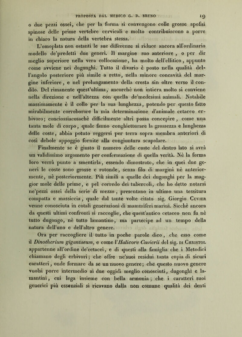 *9 o due pezzi ossei, che per la forma si convengono colle grosse apofisi spinose delle prime vertebre cervicali e molto contribuiscono a porre in chiaro la natura della vertebra stessa. L’omoplata non ostanti le sue differenze si riduce ancora all’ordinario modello de’predetti due generi. Il margine suo anteriore , o per dir meglio superiore nella vera collocazione, ha molto dell’ellitico , appunto come avviene nei dugonghi. Tutto il divario è posto nella qualità del- l’angolo posteriore più simile a retto, nella minore concavità del mar- gine inferiore, e nel prolungamento della cresta sin oltre verso il con- dilo. Del rimanente quest’ultima, ancorché non intiera molto si conviene nella direzione e nell’altezza con quella de’medesimi animali. Notabile massimamente è il collo per la sua lunghezza, potendo per questo fatto mirabilmente corroborare la mia determinazione d’animale cetaceo er- bivoro; conciossiacosaché difficilmente altri possa concepire, come una tanta mole di corpo, quale fanno conghietturare la grossezza e lunghezza delle coste, abbia potuto reggersi per terra sopra membra anteriori di così debole appoggio fornite alla congiuntura scapolare. Finalmente se è giusto il numero delle coste del destro lato si avrà un validissimo argomento per confermazione di quella verità. Nè la forma loro verrà punto a smentirla, essendo dimostrato, che in quei due ge- neri le coste sono grosse e rotonde, senza filo di margini nè anterior- mente, nè posteriormente. Più simili a quelle dei dugonghi per la mag- gior mole delle prime, e pel corredo dei tubercoli, che ho detto notarsi ne’pezzi ossei della serie di mezzo , presentano in ultimo una tessitura compatta e massiccia, quale dal tante volte citato sig. Giorgio Cuvjer venne conosciuta in cotali generazioni di mammiferi marini. Sicché ancora da questi ultimi confronti si raccoglie, che quest’antico cetaceo non fu nè tutto dugongo, nè tutto lamantino, ma partecipe ad un tempo della natura dell’uno e dell’altro genere. Ora per raccogliere il tutto in poche parole dico , che esso come il Dinotherium gigantaeum, e come XHalicore Cuvierii del sig. di Christol appartenne all’ordine de’cetacei, e di questi alla famiglia che i Metodici chiamano degli erbivori ; che offre ne’suoi residui tanta copia di sicuri caratteri, onde formare da se un nuovo genere ; che questo nuovo genere vuoisi porre intermedio ai due oggidì meglio conosciuti, dugonghi e la- mantini, cui lega insieme con bella armonia; che i caratteri suoi generici più essenziali si ricavano dalla non comune qualità dei denti