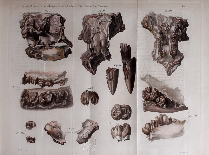 Jh &•: J 'Si </(•//*• ^/c. t/r ,