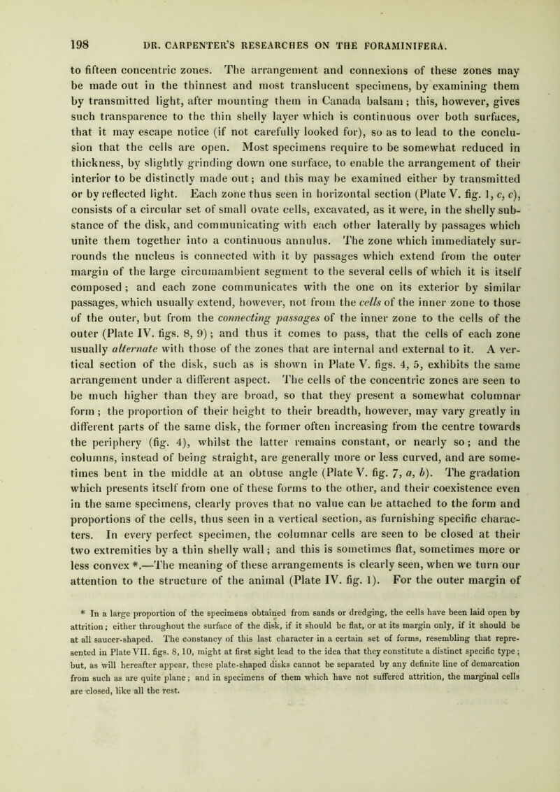 to fifteen concentric zones. The arrangement and connexions of these zones may be made out in the thinnest and most translucent specimens, by examining1 them by transmitted light, after mounting them in Canada balsam ; this, however, gives such transparence to the thin shelly layer which is continuous over both surfaces, that it may escape notice (if not carefully looked for), so as to lead to the conclu- sion that the cells are open. Most specimens require to be somewhat reduced in thickness, by slightly grinding down one surface, to enable the arrangement of their interior to be distinctly made out; and this may be examined either by transmitted or by reflected light. Each zone thus seen in horizontal section (Plate V. fig. 1, c, c), consists of a circular set of small ovate cells, excavated, as it were, in the shelly sub- stance of the disk, and communicating with each other laterally by passages which unite them together into a continuous annulus. The zone which immediately sur- rounds the nucleus is connected with it by passages which extend from the outer margin of the large circumambient segment to the several cells of which it is itself composed ; and each zone communicates with the one on its exterior by similar passages, which usually extend, however, not from the cells of the inner zone to those of the outer, but from the connecting passages of the inner zone to the cells of the outer (Plate IV. figs. 8, 9); and thus it comes to pass, that the cells of each zone usually alternate with those of the zones that are internal and external to it. A ver- tical section of the disk, such as is shown in Plate V. figs. 4, 5, exhibits the same arrangement under a different aspect. The cells of the concentric zones are seen to be much higher than they are broad, so that they present a somewhat columnar form ; the proportion of their height to their breadth, however, may vary greatly in different parts of the same disk, the former often increasing from the centre towards the periphery (fig. 4), whilst the latter remains constant, or nearly so; and the columns, instead of being straight, are generally more or less curved, and are some- times bent in the middle at an obtuse angle (Plate V. fig. 7> <*■> b). The gradation which presents itself from one of these forms to the other, and their coexistence even in the same specimens, clearly proves that no value can be attached to the form and proportions of the cells, thus seen in a vertical section, as furnishing specific charac- ters. In every perfect specimen, the columnar cells are seen to be closed at their two extremities by a thin shelly wall; and this is sometimes flat, sometimes more or less convex *.—The meaning of these arrangements is clearly seen, when we turn our attention to the structure of the animal (Plate IV. fig. 1). For the outer margin of * In a large proportion of the specimens obtained from sands or dredging, the cells have been laid open by attrition; either throughout the surface of the disk, if it should be flat, or at its margin only, if it should be at all saucer-shaped. The constancy of this last character in a certain set of forms, resembling that repre- sented in Plate VII. figs. 8, 10, might at first sight lead to the idea that they constitute a distinct specific type ; but, as will hereafter appear, these plate-sliaped disks cannot be separated by any definite line of demarcation from such as are quite plane; and in specimens of them which have not suffered attrition, the marginal cells are closed, like all the rest.