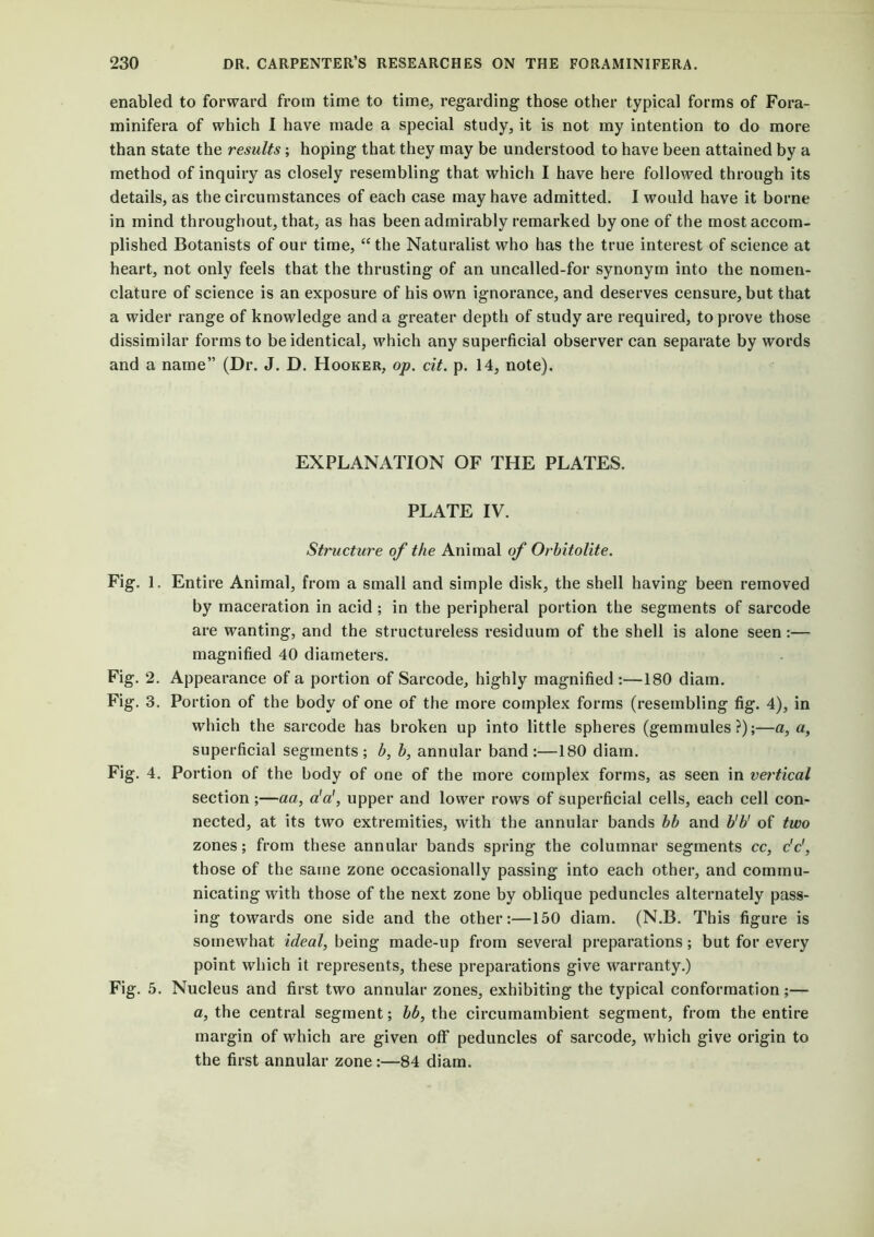 enabled to forward from time to time, regarding those other typical forms of Fora- minifera of which I have made a special study, it is not my intention to do more than state the results; hoping that they may be understood to have been attained by a method of inquiry as closely resembling that which I have here followed through its details, as the circumstances of each case may have admitted. I would have it borne in mind throughout, that, as has been admirably remarked by one of the most accom- plished Botanists of our time, “the Naturalist who has the true interest of science at heart, not only feels that the thrusting of an uncalled-for synonym into the nomen- clature of science is an exposure of his own ignorance, and deserves censure, but that a wider range of knowledge and a greater depth of study are required, to prove those dissimilar forms to be identical, which any superficial observer can separate by words and a name” (Dr. J. D. Hooker, op. cit. p. 14, note). EXPLANATION OF THE PLATES. PLATE IV. Structure of the Animal of Orbitolite. Fig. 1. Entire Animal, from a small and simple disk, the shell having been removed by maceration in acid ; in the peripheral portion the segments of sarcode are wanting, and the structureless residuum of the shell is alone seen:— magnified 40 diameters. Fig. 2. Appearance of a portion of Sarcode, highly magnified :—180 diam. Fig. 3. Portion of the body of one of the more complex forms (resembling fig. 4), in which the sarcode has broken up into little spheres (gemmules?);—a, a, superficial segments; b, b, annular band:—180 diam. Fig. 4. Portion of the body of one of the more complex forms, as seen in vertical section ;—aa, a'a', upper and lower rows of superficial cells, each cell con- nected, at its two extremities, with the annular bands bb and b'b' of two zones; from these annular bands spring the columnar segments cc, c'c', those of the same zone occasionally passing into each other, and commu- nicating with those of the next zone by oblique peduncles alternately pass- ing towards one side and the other:—150 diam. (N.B. This figure is somewhat ideal, being made-up from several preparations; but for every point which it represents, these preparations give warranty.) Fig. 5. Nucleus and first two annular zones, exhibiting the typical conformation;— a, the central segment; bb, the circumambient segment, from the entire margin of which are given off peduncles of sarcode, which give origin to the first annular zone :—84 diam.