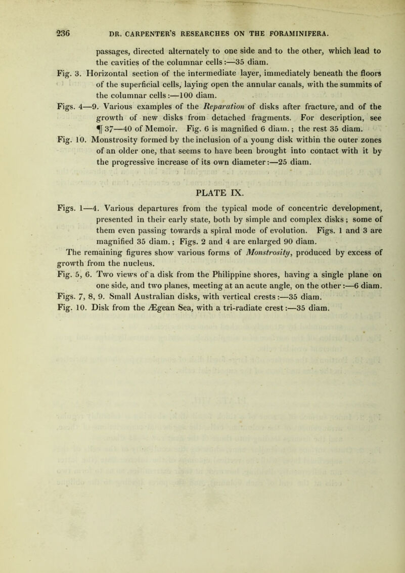 passages, directed alternately to one side and to the other, which lead to the cavities of the columnar cells :—35 diam. Fig. 3. Horizontal section of the intermediate layer, immediately beneath the floors of the superficial cells, laying open the annular canals, with the summits of the columnar cells :—100 diam. Figs. 4—9. Various examples of the Reparation of disks after fracture, and of the growth of new disks from detached fragments. For description, see —40 of Memoir. Fig. 6 is magnified 6 diam.; the rest 35 diam. Fig. 10. Monstrosity formed by the inclusion of a young disk within the outer zones of an older one, that seems to have been brought into contact with it by the progressive increase of its own diameter:—25 diam. PLATE IX. Figs. 1—4. Various departures from the typical mode of concentric development, presented in their early state, both by simple and complex disks; some of them even passing towards a spiral mode of evolution. Figs. 1 and 3 are magnified 35 diam.; Figs. 2 and 4 are enlarged 90 diam. The remaining figures show various forms of Monstrosity, produced by excess of growth from the nucleus. Fig. 5, 6. Two views of a disk from the Philippine shores, having a single plane on one side, and two planes, meeting at an acute angle, on the other:—6 diam. Figs. 7, 8, 9. Small Australian disks, with vertical crests:—35 diam. Fig. 10. Disk from the ^Egean Sea, with a tri-radiate crest:—35 diam.