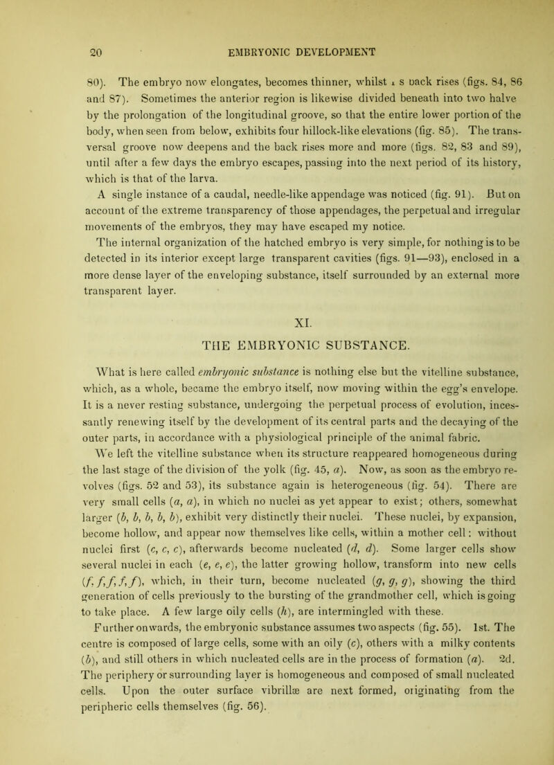 80). The embryo now elongates, becomes thinner, whilst l s oack rises (figs. 84, 86 and 87). Sometimes the anterior region is likewise divided beneath into two halve by the prolongation of the longitudinal groove, so that the entire lower portion of the body, when seen from below, exhibits four hillock-like elevations (fig. 85). The trans- versal groove now deepens and the back rises more and more (tigs, 82, 83 and 89), until after a few days the embryo escapes, passing into the next period of its history, which is that of the larva. A single instance of a caudal, needle-like appendage was noticed (fig. 91). But on account of the extreme transparency of those appendages, the perpetual and irregular movements of the embryos, they may have escaped my notice. The internal organization of the hatched embryo is very simple, for nothing is to be detected in its interior except large transparent cavities (figs. 91—93), enclo.sed in a more dense layer of the enveloping substance, itself surrounded by an external more transparent layer. XL THE EMBRYONIC SUBSTANCE. What is here called embryonic substance is nothing else but the vitelline substance, which, as a whole, became the embryo itself, now moving within the egg’s envelope. It is a never resting substance, undergoing the perpetual process of evolution, inces- santly renewing itself by the development of its central parts and the decaying of the outer parts, in accordance with a physiological principle of the animal fabric. We left the vitelline substance wdien its structure reappeared homogeneous during the last stage of the division of the yolk (fig. 45, a). Now, as soon as the embryo re- volves (figs. 52 and 53), its substance again is heterogeneous (fig. 54). There are very small cells {a, a), in which no nuclei as yet appear to exist; others, somewhat larger {b, b, b, b, b), exhibit very distinctly their nuclei. These nuclei, by expansion, become hollow, and appear now themselves like cells, within a mother cell: without nuclei first (c, c, c), afterwards become nucleated {d, d). Some larger cells show several nuclei in each (e, e, e), the latter growing hollow, transform into new cells (/i/>/>/»/)> 'vhich, in their turn, become nucleated {g, g, g), showing the third generation of cells previously to the bursting of the grandmother cell, which is going to take place. A few large oily cells (A), are intermingled with these. Further onwards, the embryonic substance assumes two aspects (fig. 55). 1st. The centre is composed of large cells, some with an oily (c), others with a milky contents (b), and still others in which nucleated cells are in the process of formation (a). 2d. The periphery or surrounding layer is homogeneous and composed of small nucleated cells. Upon the outer surface vibrillse are next formed, originating from the peripheric cells themselves (fig. 56).