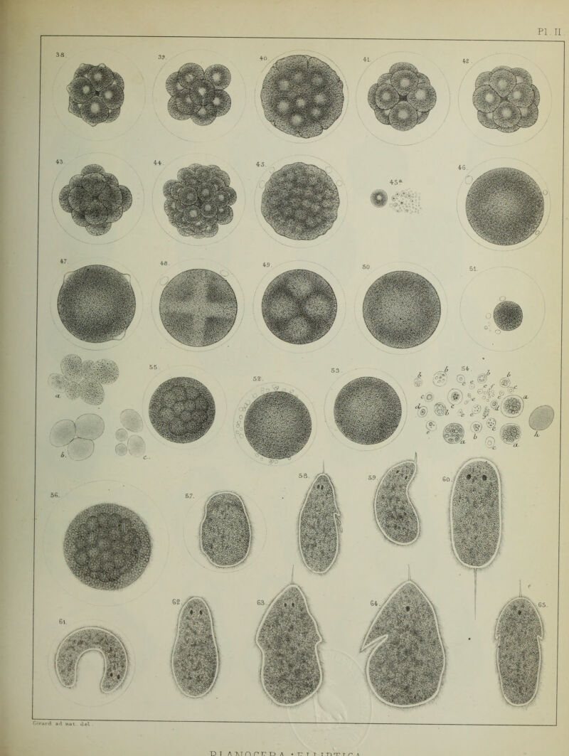 Girard ad uat del . 4r4r. DT A'KTnpr-OA T?r T TiT-rT/^A