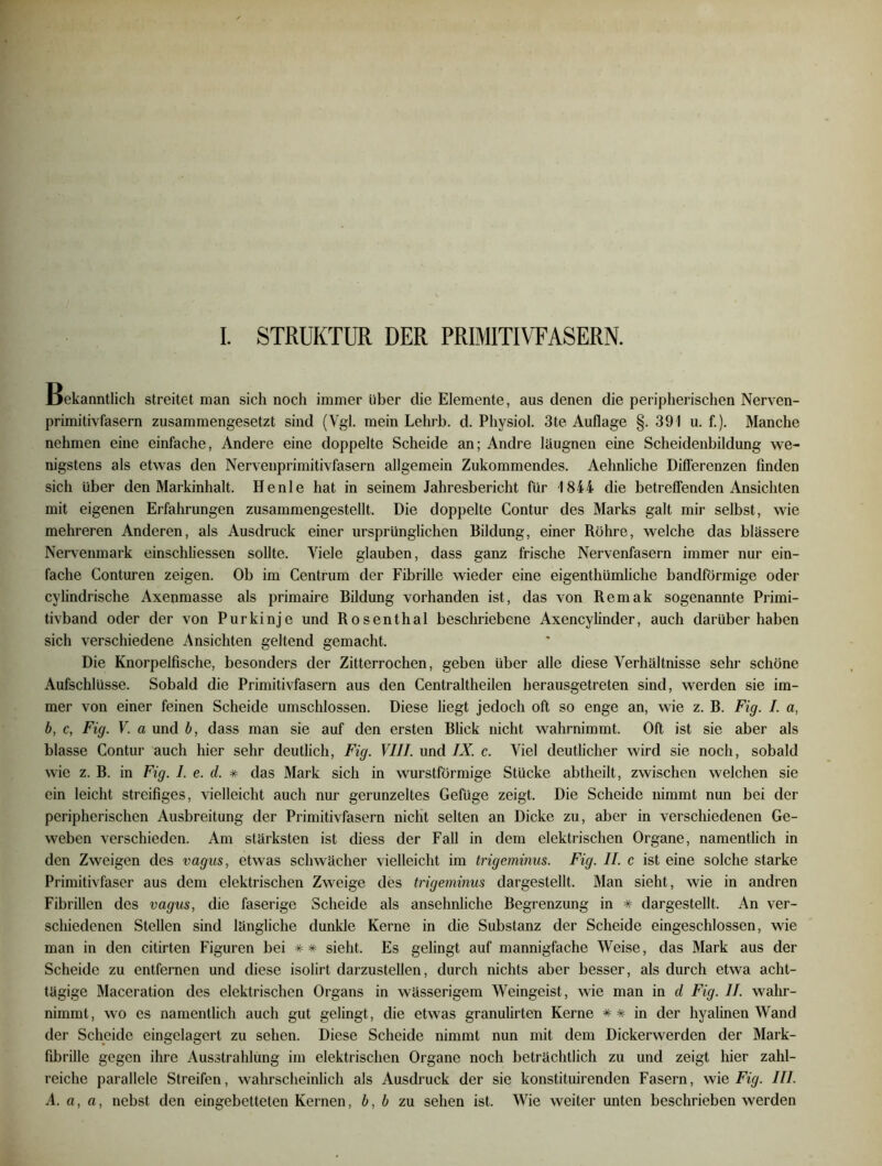 I. STRUKTUR DER PRIMITIVFASERN. Bekanntlich streitet man sich noch immer Uber die Elemente, aus denen die peripherischen Nerven- primitivfasern zusammengesetzt sind (Vgl. mein Lehrb. d. Physiol. 3te Auflage §. 391 u. f.). Manche nehmen eine einfache, Andere eine doppelte Scheide an; Andre laugnen eine Scheidenbildung we- nigstens als etwas den Nervenprimitivfasern allgemein Zukommendes. Aehnliche Differenzen finden sich über den Markinhalt. He nie hat in seinem Jahresbericht für 1844 die betreffenden Ansichten mit eigenen Erfahrungen zusammengestellt. Die doppelte Contur des Marks galt mir selbst, wie mehreren Anderen, als Ausdruck einer ursprünglichen Bildung, einer Röhre, welche das blässere Nervenmark einschliessen sollte. Viele glauben, dass ganz frische Nervenfasern immer nur ein- fache Conturen zeigen. Ob im Centrum der Fibrille wieder eine eigenthümliche bandförmige oder cylindrische Axenmasse als primaire Bildung vorhanden ist, das von Remak sogenannte Primi- tivband oder der von Purkinje und Rosenthal beschriebene Axencylinder, auch darüber haben sich verschiedene Ansichten geltend gemacht. Die Knorpelfische, besonders der Zitterrochen, geben über alle diese Verhältnisse sehr schöne Aufschlüsse. Sobald die Primitivfasern aus den Centraltheilen herausgetreten sind, werden sie im- mer von einer feinen Scheide umschlossen. Diese liegt jedoch oft so enge an, wie z. B. Fig. I. a, b, c, Fig. V. a und b, dass man sie auf den ersten Blick nicht wahrnimmt. Oft ist sie aber als blasse Contur auch hier sehr deutlich, Fig. VIII. und IX. c. Viel deutlicher wird sie noch, sobald wie z. B. in Fig. I. e. d. # das Mark sich in wurstförmige Stücke abtheilt, zwischen welchen sie ein leicht streifiges, vielleicht auch nur gerunzeltes Gefüge zeigt. Die Scheide nimmt nun bei der peripherischen Ausbreitung der Primitivfasern nicht selten an Dicke zu, aber in verschiedenen Ge- weben verschieden. Am stärksten ist diess der Fall in dem elektrischen Organe, namentlich in den Zweigen des vagus, etwas schwächer vielleicht im trigeminus. Fig. II. c ist eine solche starke Primitivfaser aus dem elektrischen Zweige des trigeminus dargestellt. Man sieht, wie in andren Fibrillen des vagus, die faserige Scheide als ansehnliche Begrenzung in # dargestellt. An ver- schiedenen Stellen sind längliche dunkle Kerne in die Substanz der Scheide eingeschlossen, wie man in den citirten Figuren bei ## sieht. Es gelingt auf mannigfache Weise, das Mark aus der Scheide zu entfernen und diese isolirt darzustellen, durch nichts aber besser, als durch etwa acht- tägige Maceration des elektrischen Organs in wässerigem Weingeist, wie man in d Fig. II. wahr- nimmt, wo es namentlich auch gut gelingt, die etwas granulirten Kerne * * in der hyalinen Wand der Scheide eingelagert zu sehen. Diese Scheide nimmt nun mit dem Dickerwerden der Mark- fibrille gegen ihre Ausstrahlung im elektrischen Organe noch beträchtlich zu und zeigt hier zahl- reiche parallele Streifen, wahrscheinlich als Ausdruck der sie konstituirenden Fasern, wie Fig. III. A. a, a, nebst den eingebetteten Kernen, b, b zu sehen ist. Wie weiter unten beschrieben werden