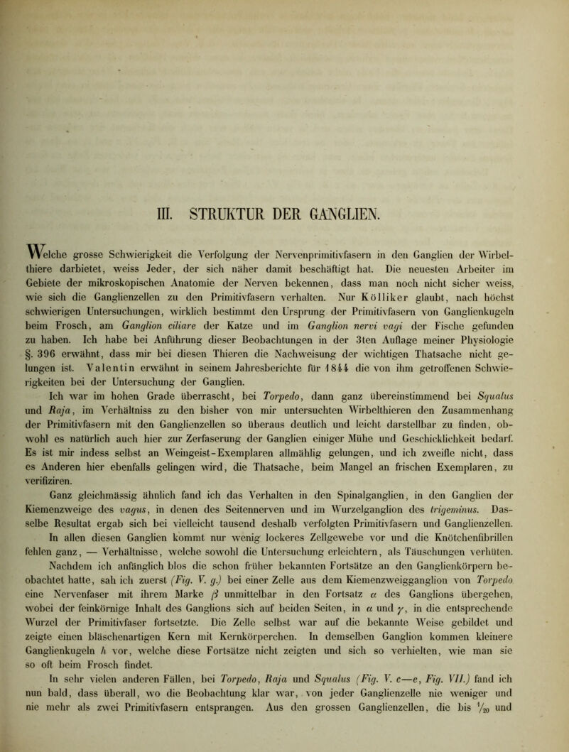 / ffl. STRUKTUR DER GANGLIEN. Welche grosse Schwierigkeit die Verfolgung der Nervenprimitivfasern in den Ganglien der Wirbel- thiere darbietet, weiss Jeder, der sich naher damit beschäftigt hat. Die neuesten Arbeiter im Gebiete der mikroskopischen Anatomie der Nerven bekennen, dass man noch nicht sicher weiss, wie sich die Ganglienzellen zu den Primitivfasern verhalten. Nur Kölliker glaubt, nach höchst schwierigen Untersuchungen, wirklich bestimmt den Ursprung der Primitivfasern von Ganglienkugeln beim Frosch, am Ganglion ciliare der Katze und im Ganglion nervi vagi der Fische gefunden zu haben. Ich habe bei Anführung dieser Beobachtungen in der 3ten Auflage meiner Physiologie §. 396 erwähnt, dass mir bei diesen Thieren die Nachweisung der wichtigen Thatsache nicht ge- lungen ist. Valentin erwähnt in seinem Jahresberichte für 1844 die von ihm getroffenen Schwie- rigkeiten bei der Untersuchung der Ganglien. Ich war im hohen Grade überrascht, bei Torpedo, dann ganz übereinstimmend bei Squalus und Raja, im Verhältnis zu den bisher von mir untersuchten Wirbelthieren den Zusammenhang der Primitivfasern mit den Ganglienzellen so überaus deutlich und leicht darstellbar zu finden, ob- wohl es natürlich auch hier zur Zerfaserung der Ganglien einiger Mühe und Geschicklichkeit bedarf. Es ist mir indess selbst an Weingeist-Exemplaren allmählig gelungen, und ich zweifle nicht, dass es Anderen hier ebenfalls gelingen wird, die Thatsache, beim Mangel an frischen Exemplaren, zu verifiziren. Ganz gleichmässig ähnlich fand ich das Verhalten in den Spinalganglien, in den Ganglien der Kiemenzweige des vagus, in denen des Seitennerven und im Wurzelganglion des trigeminus. Das- selbe Resultat ergab sich bei vielleicht tausend deshalb verfolgten Primitivfasern und Ganglienzellen. In allen diesen Ganglien kommt nur wenig lockeres Zellgewebe vor und die Knötchenfibrillen fehlen ganz, — Verhältnisse, welche sowohl die Untersuchung erleichtern, als Täuschungen verhüten. Nachdem ich anfänglich blos die schon früher bekannten Fortsätze an den Ganglienkörpern be- obachtet hatte, sah ich zuerst (Fig. V. g.) bei einer Zolle aus dem Kiemenzweigganglion von Torpedo eine Nervenfaser mit ihrem Marke ft unmittelbar in den Fortsatz a des Ganglions übergehen, wobei der feinkörnige Inhalt des Ganglions sich auf beiden Seiten, in a und y, in die entsprechende Wurzel der Primitivfaser fortsetzte. Die Zelle selbst war auf die bekannte Weise gebildet und zeigte einen bläschenartigen Kern mit Kernkörperchen. In demselben Ganglion kommen kleinere Ganglienkugeln h vor, welche diese Fortsätze nicht zeigten und sich so verhielten, wie man sie so oft beim Frosch findet. ln sehr vielen anderen Fällen, bei Torpedo, Raja und Squalus (Fig. V. c—e, Fig. VIJ.) fand ich nun bald, dass überall, wo die Beobachtung klar war, von jeder Ganglienzelle nie weniger und nie mehr als zwei Primitivfasern entsprangen. Aus den grossen Ganglienzellen, die bis y20 und