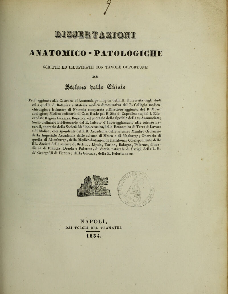 ANATOMICO ■ PATOLOGICHE SCRITTE ED ILLUSTRATE CON TAVOLE OPPORTUNE SA Prof, aggiunto alla Cattedra di Anatomia patologica della R. Università degli studi ed a quella di Botanica e Materia medica dimostrativa del R. Collegio medico- chirurgico; Istitutore di Notomia comparata e Direttore aggiunto del R. Museo zoologico; Medico ordinario di Casa Reale pel R.Sito di Capodimonte,del I. Edu- candato Regina Isabella. Borbone, ed onorario dello Spedale della ss. Annunciata; Socio ordinario Bibliotecario del R. Istituto d’Incoraggiamento alle scienze na- turali, onorario della Società Medico-cerusica, della Economica di Terra di Lavoro e di Molise, corrispondente della R. Accademia delle scienze: Membro Ordinario della Imperiale Accademia delle scienze di Mosca e di Marburgo; Onorario di quella di Altenburgo, della Medico-botanica di Ralisbona; Corrispondente delle RR. Società delle scienze di Berlino, Lipsia, Torino, Bologna, Palermo, di me- dicina di Francia, Dresda e Palermo, di Storia naturale di Parigi, della I.-R. de’ Georgofili di Firenze, della Giocnia, della R. Peloritana ec. NAPOLI, DAI TORCHI DEL TRAMaTER. 1854.