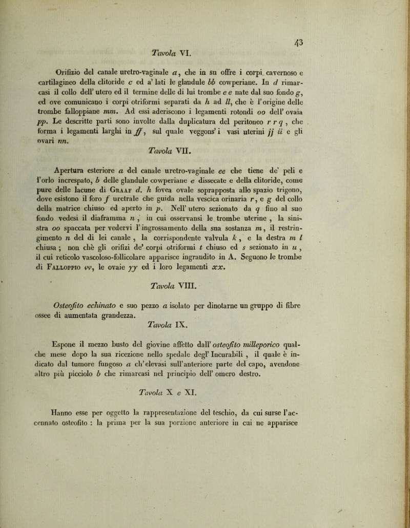 Tavola VI. Orifizio del canale uretro-vaginale a, che in su offre i corpi cavernoso e cartilagineo della clitoride c ed a’ lati le glandule bb cowperiane. In d rimar- casi il collo dell’ utero ed il termine delle di lui trombe e e nate dal suo fondo g, ed ove comunicano i corpi otriformi separati da h ad II, che è l’origine delle trombe falloppiane rum. Ad essi aderiscono i legamenti rotondi oo dell’ ovaia pp. Le descritte parti sono involte dalla duplicatura del peritoneo r r q , che forma i legamenti larghi in ff, sul quale veggons’i vasi uterini jj ii e gli ovari nn. Tavola VII. Apertura esteriore a del canale uretro-vaginale ee che tiene de' peli e l’orlo increspato, b delle glandule cowperiane e dissecate e della clitoride, come pure delle lacune di Graaf d. h fovea ovale soprapposta allo spazio trigono, dove esistono il foro f uretrale che guida nella vescica orinaria r, e g del collo della matrice chiuso ed aperto in p. Nell’ utero sezionato da q fino al suo fondo vedesi il diaframma n , in cui osservansi le trombe uterine , la sini- stra oo spaccata per vedervi l’ingrossamento della sua sostanza m, il restrin- gimento n del di lei canale , la corrispondente valvula A , e la destra m l chiusa ; non che gli orifizi de’ corpi otriformi t chiuso ed s sezionato in u , il cui reticolo vascoloso-follicolare apparisce ingrandito in A. Seguono le trombe di Falloppio vv, le ovaie yy ed i loro legamenti ocx. Tavola Vili. Osteofito echinato e suo pezzo a isolato per dinotarne un gruppo di fibre ossee di aumentata grandezza. Tavola IX. Espone il mezzo busto del giovine affetto dall’ osteofito milleporìco qual- che mese dopo la sua ricezione nello spedale degl’ Incurabili , il quale è in- dicato dal tumore fungoso a ch’elevasi sull’anteriore parte del cajx>, avendone altro più picciolo b che rimarcasi nel principio dell’ omero destro. Tavola X e XI. Hanno esse per oggetto la rappresentazione del teschio, da cui surse l’ac- cennato osteofito : la prima per la sua porzione anteriore in cui ne apparisce