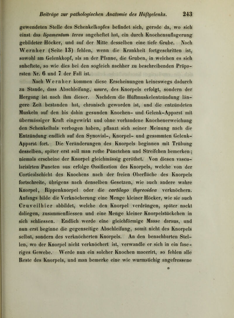 gewendeten Stelle des Schenkelkopfes befindet sich, gerade da, wo sich einst das ligamentum teres angeheftet hat, ein durch Knochenauflagerung gebildeter Höcker, und auf der Mitte desselben eine tiefe Grube. Nach Wern her (Seite 13) fehlen, wenn die Krankheit fortgeschritten ist, sowohl am Gelenkkopf, als an der Pfanne, die Gruben, in welchen es sich anheftete, so wie dies bei den sogleich nachher zu beschreibenden Präpa- raten Nr. 6 und 7 der Fall ist. Nach Wernher kommen diese Erscheinungen keineswegs dadurch zu Stande, dass Abschleifung, usure, des Knorpels erfolgt, sondern der Hergang ist nach ihm dieser. Nachdem die Hüftmuskelentzündung län- gere Zeit bestanden hat, chronisch geworden ist, und die entzündeten Muskeln auf den bis dahin gesunden Knochen- und Gelenk-Apparat mit übermässiger Kraft eingewirkt und ohne vorhandene Knochenerweichung den Schenkelhals verbogen haben, pflanzt sich seiner Meinung nach die Entzündung endlich auf den Synovial-, Knorpel- und gesammten Gelenk- Apparat fort. Die Veränderungen des Knorpels beginnen mit Trübung desselben, später erst soll man rothe Pünctchen und Streifchen bemerken; niemals erscheine der Knorpel gleichmässig geröthet. Von diesen vascu- larisirten Puncten aus erfolge Ossification des Knorpels, welche von der Corticalschicht des Knochens nach der freien Oberfläche des Knorpels fortschreite, übrigens nach denselben Gesetzen, wie auch andere wahre Knorpel, Rippenknorpel oder die cartilago thyreoidea verknöchern. Anfangs bilde die Verknöcherung eine Menge kleiner Höcker, wie sie auch Cruveilhier abbildet, welche den Knorpel verdrängen, später nackt daliegen, zusammenfliessen und eine Menge kleiner Knorpelstückchen in sich schliessen. Endlich werde eine gleichförmige Masse daraus, und nun erst beginne die gegenseitige Abschleifung, somit nicht des Knorpels selbst, sondern des verknöcherten Knorpels. An den benachbarten Stel- len, wo der Knorpel nicht verknöchert ist, verwandle er sich in ein fase- riges Gewebe. Werde nun ein solcher Knochen macerirt, so fehlen alle Reste des Knorpels, und man bemerke eine wie wurmstichig angefressene