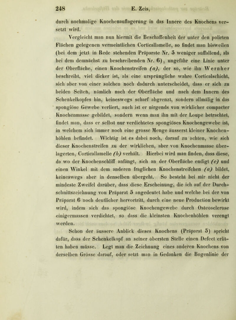 durch nochmalige Knochenauflagerung in das Innere des Knochens ver- setzt wird. Vergleicht man nun hiermit die Beschaffenheit der unter den polirten Flächen gelegenen vermeintlichen Corticallamelle, so findet man bisweilen (bei dem jetzt in Rede stehenden Präparate Nr. 5 weniger auffallend, als bei dem demnächst zu beschreibenden Nr. 6), ungefähr eine Linie unter der Oberfläche, einen Knochenstreifen (a), der so, wie ihn Wernher beschreibt, viel dicker ist, als eine ursprüngliche wahre Corticalschicht, sich aber von einer solchen noch dadurch unterscheidet, dass er sich zu beiden Seiten, nämlich nach der Oberfläche und nach dem Innern des Schenkelkopfes hin, keineswegs scharf abgrenzt, sondern allmälig in das spongiöse Gewebe verliert, auch ist er nirgends von wirklicher compacter Knochenmasse gebildet, sondern wenn man ihn mit der Loupe betrachtet, findet man, dass er selbst nur verdichtetes spongiöses Knochengewebe ist, in welchem sich immer noch eine grosse Menge äusserst kleiner Knochen- höhlen befindet. Wichtig ist es dabei noch, darauf zu achten, wie sich dieser Knochenstreifen zu der wirklichen, aber von Knochenmasse über- lagerten, Corticallamelle (b) verhält. Hierbei wird man finden, dass diese, da wo der Knochenschliff anfängt, sich an der Oberfläche endigt (c) und einen Winkel mit dem anderen fraglichen Knochenstreifchen (a) bildet, keineswegs aber in denselben übergeht. So besteht bei mir nicht der mindeste Zweifel darüber, dass diese Erscheinung, die ich auf der Durch- schnittszeichnung von Präparat 5 angedeutet habe und welche bei der von Präparat 6 noch deutlicher hervortritt, durch eine neue Production bewirkt wird, indem sich das spongiöse Knochengewebe durch Osteosclerose einigermassen verdichtet, so dass die kleinsten Knochenhöhlen verengt werden. Schon der äussere Anblick dieses Knochens (Präparat 5) spricht dafür, dass der Schenkelkopf an seiner obersten Stelle einen Defect erlit- ten haben müsse. Legt man die Zeichnung eines anderen Knochens von derselben Grösse darauf, oder setzt man in Gedanken die Bogenlinie der