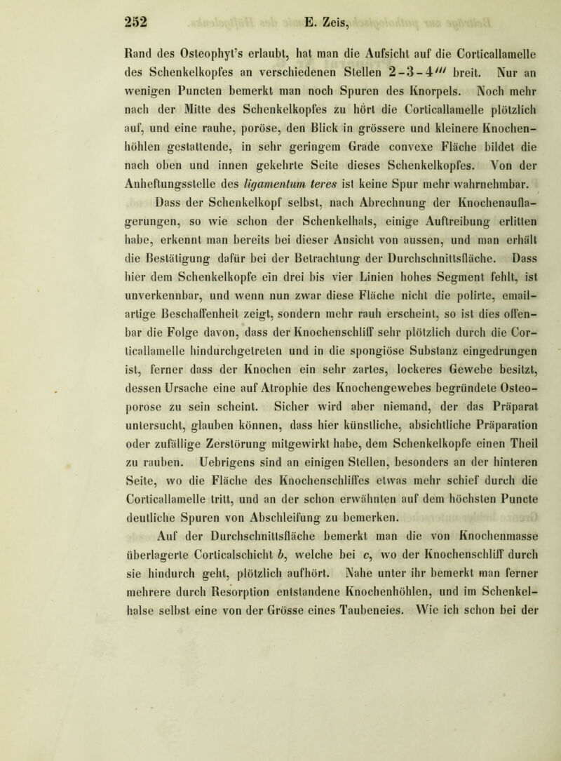 Rand des Osteophyt’s erlaubt, hat man die Aufsicht auf die Corticallamelle des Schenkelkopfes an verschiedenen Stellen 2-3-4/// breit. Nur an wenigen Puncten bemerkt man noch Spuren des Knorpels. Noch mehr nach der Mitte des Schenkelkopfes zu hört die Corticallamelle plötzlich auf, und eine rauhe, poröse, den Blick in grössere und kleinere Knochen- höhlen gestattende, in sehr geringem Grade convexe Fläche bildet die nach oben und innen gekehrte Seite dieses Schenkelkopfes. Von der Anheftungsstelle des ligamentum teres ist keine Spur mehr wahrnehmbar. Dass der Schenkelkopf selbst, nach Abrechnung der Knochenaufla- gerungen, so wie schon der Schenkelhals, einige Auftreibung erlitten habe, erkennt man bereits bei dieser Ansicht von aussen, und man erhält die Bestätigung dafür bei der Betrachtung der Durchschnittsfläche. Dass hier dem Schenkelkopfe ein drei bis vier Linien hohes Segment fehlt, ist unverkennbar, und wenn nun zwar diese Fläche nicht die polirte, email- artige Beschaffenheit zeigt, sondern mehr rauh erscheint, so ist dies offen- bar die Folge davon, dass der Knochenschlitf sehr plötzlich durch die Cor- ticallamelle hindurchgetreten und in die spongiöse Substanz eingedrungen ist, ferner dass der Knochen ein sehr zartes, lockeres Gewebe besitzt, dessen Ursache eine auf Atrophie des Knochengewebes begründete Osteo- porose zu sein scheint. Sicher wird aber niemand, der das Präparat untersucht, glauben können, dass hier künstliche, absichtliche Präparation oder zufällige Zerstörung mitgewirkt habe, dem Schenkelkopfe einen Theil zu rauben. Uebrigens sind an einigen Stellen, besonders an der hinteren Seite, wo die Fläche des Knochenschliffes etwas mehr schief durch die Corticallamelle tritt, und an der schon erwähnten auf dem höchsten Puncte deutliche Spuren von Abschleifung zu bemerken. Auf der Durchschnittsfläche bemerkt man die von Knochenmasse überlagerte Corticalschicht 6, welche bei c, wo der Knochenschlilf durch sie hindurch geht, plötzlich aufhört. Nahe unter ihr bemerkt man ferner mehrere durch Resorption entstandene Knochenhöhlen, und im Schenkel- hälse selbst eine von der Grösse eines Taubeneies. Wie ich schon bei der