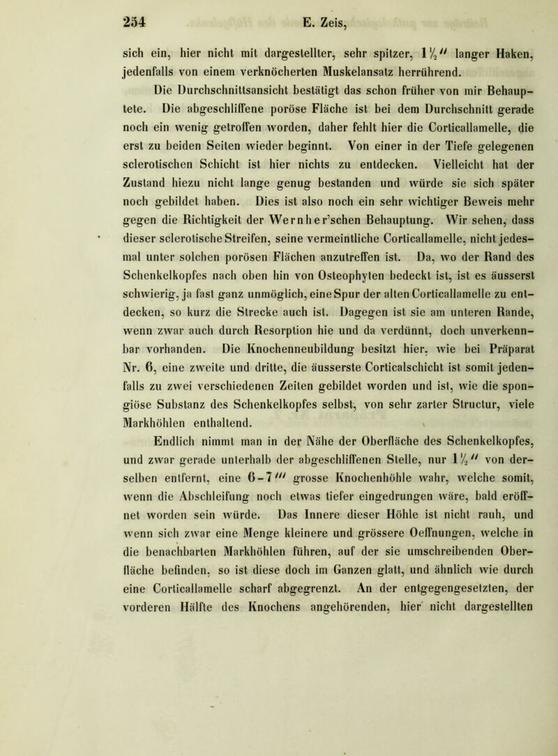 sich ein, hier nicht mit dargeslellter, sehr spitzer, 1 % langer Haken, jedenfalls von einem verknöcherten Muskelansatz herrührend. Die Durchschnittsansicht bestätigt das schon früher von mir Behaup- tete. Die abgeschliffene poröse Fläche ist bei dem Durchschnitt gerade noch ein wenig getroffen worden, daher fehlt hier die Corticallamelle, die erst zu beiden Seiten wieder beginnt. Von einer in der Tiefe gelegenen sclerotischen Schicht ist hier nichts zu entdecken. Vielleicht hat der Zustand hiezu nicht lange genug bestanden und würde sie sich später noch gebildet haben. Dies ist also noch ein sehr wichtiger Beweis mehr gegen die Richtigkeit der Wernher’schen Behauptung. Wir sehen, dass dieser sclerotische Streifen, seine vermeintliche Corticallamelle, nicht jedes- mal unter solchen porösen Flächen anzutrelfen ist. Da, wo der Rand des Schenkelkopfes nach oben hin von Osteophyten bedeckt ist, ist es äusserst schwierig, ja fast ganz unmöglich, eineSpur der alten Corticallamelle zu ent- decken, so kurz die Strecke auch ist. Dagegen ist sie am unteren Rande, wenn zwar auch durch Resorption hie und da verdünnt, doch unverkenn- bar vorhanden. Die Knochenneubildung besitzt hier, wie bei Präparat Nr. 6, eine zweite und dritte, die äusserste Corticalschicht ist somit jeden- falls zu zwei verschiedenen Zeilen gebildet worden und ist, wie die spon- giöse Substanz des Schenkelkopfes selbst, von sehr zarter Structur, viele Markhöhlen enthaltend. Endlich nimmt man in der Nähe der Oberfläche des Schenkelkopfes, und zwar gerade unterhalb der abgeschlilfenen Stelle, nur 1 % ° von der- selben entfernt, eine 6-7//y grosse Knochenhöhle wahr, welche somit, wenn die Abschleifung noch etwas tiefer eingedrungen wäre, bald eröff- net worden sein würde. Das Innere dieser Höhle ist nicht rauh, und wenn sich zwar eine Menge kleinere und grössere Oeffnungen, welche in die benachbarten Markhöhlen führen, auf der sie umschreibenden Ober- fläche befinden, so ist diese doch im Ganzen glatt, und ähnlich wie durch eine Corticallamelle scharf abgegrenzt. An der entgegengesetzten, der vorderen Hälfte des Knochens angehörenden, hier nicht dargestellten