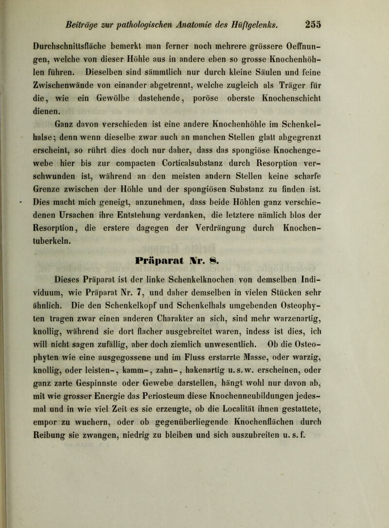 Durchschnittsfläche bemerkt man ferner noch mehrere grössere Oeffnun- gen, welche von dieser Höhle aus in andere eben so grosse Knochenhöh- len führen. Dieselben sind sämmtlich nur durch kleine Säulen und feine Zwischenwände von einander abgetrennt, welche zugleich als Träger für die, wie ein Gewölbe dastehende, poröse oberste Knochenschicht dienen. Ganz davon verschieden ist eine andere Knochenhöhle im Schenkel- hälse; denn wenn dieselbe zwar auch an manchen Stellen glatt abgegrenzt erscheint, so rührt dies doch nur daher, dass das spongiöse Knochenge- webe hier bis zur compacten Corticalsubstanz durch Resorption ver- schwunden ist, während an den meisten andern Stellen keine scharfe Grenze zwischen der Höhle und der spongiösen Substanz zu finden ist. Dies macht mich geneigt, anzunehmen, dass beide Höhlen ganz verschie- denen Ursachen ihre Entstehung verdanken, die letztere nämlich blos der Resorption, die erstere dagegen der Verdrängung durch Knochen- tuberkeln. Präparat Hr. 8. Dieses Präparat ist der linke Schenkelknochen von demselben Indi- viduum, wie Präparat Nr. 7, und daher demselben in vielen Stücken sehr ähnlich. Die den Schenkelkopf und Schenkelhals umgebenden Osteophy- ten tragen zwar einen anderen Charakter an sich, sind mehr warzenartig, knollig, während sie dort flacher ausgebreitet waren, indess ist dies, ich will nicht sagen zufällig, aber doch ziemlich unwesentlich. Ob die Osteo- phyten wie eine ausgegossene und im Fluss erstarrte Masse, oder warzig, knollig, oder leisten-, kämm-, zahn-, hakenartig u.s.w. erscheinen, oder ganz zarte Gespinnste oder Gewebe darstellen, hängt wohl nur davon ab, mit wie grosser Energie das Periosteum diese Knochenneubildungen jedes- mal und in wie viel Zeit es sie erzeugte, ob die Localität ihnen gestattete, empor zu wuchern, oder ob gegenüberliegende Knochenflächen durch Reibung sie zwangen, niedrig zu bleiben und sich auszubreiten u. s. f.