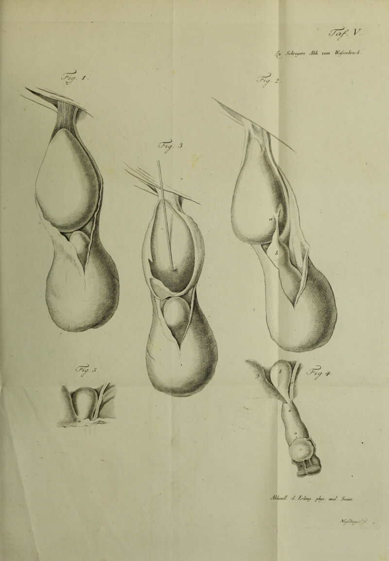 Ai/mm//. t/. S/f/nu/ p/u/s. ma7. Sc S ScJiraqers Ab/i. vom Wäfi-erbruA.