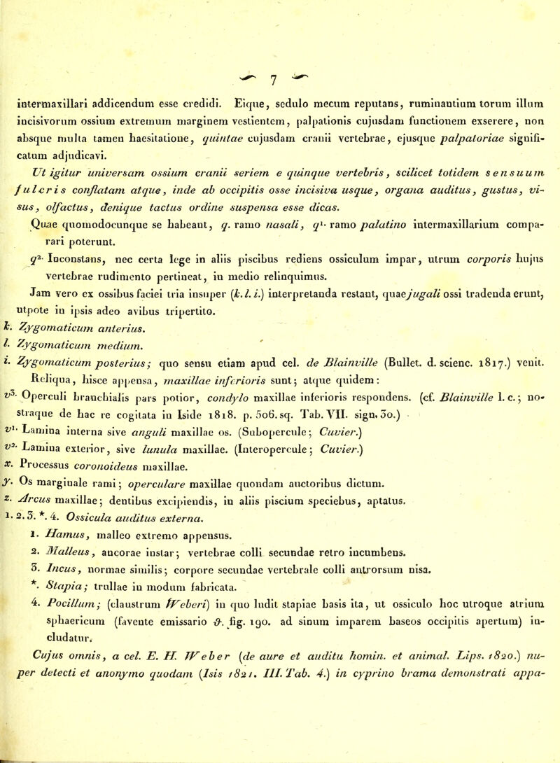 intermaxillari addicendum esse credidi. Eique, sedulo mecum reputans, ruminautium torum illum incisivorum ossium extremum marginem vestientem, palpationis cujusdam functionem exserere, non absque mulla tameu haesitatione, quintae cujusdam cranii vertebrae, ejusque palpatoriae signifi- catum adjudicavi. Ut igitur universam ossium cranii seriem e quinque vertebris, scilicet totidem sensuum fulcris conflatam atque, inde ab occipitis osse incisiva usque, organa auditus, gustus, vi- sus, olfactus, denique tactus ordine suspensa esse clicas. Quae quomodocunque se habeant, q. ramo nasali, ql- ramo palatino intermaxillarium compa- rari poterunt. f1 Inconstans, nec certa lege in aliis piscibus rediens ossiculum impar, utrum corporis hujus vertebrae rudimento pertineat, in medio relinquimus. Jam vero ex ossibus faciei tria insuper [k.l.i.) interpretanda restant, quaeyiigali ossi tradenda erunt, utpote in ipsis adeo avibus tripertilo. b- Zygomaticum anterius. I. Zygomaticum medium. 1‘ Zygomaticum posterius; quo sensu etiam apud cel. de Blainville (Bullet, d. scienc. 1817.) venit. Reliqua, hisce appensa, maxillae inferioris sunt; atque quidem: v3' Operculi branchialis pars potior, condylo maxillae inferioris respondens, (cf. Blainville 1. c.; no- straque de hac re cogitata in Iside 1818. p. 5o6. sq. Tab. VII. sign. 00.) vl' Lamina interna sive anguli maxillae os. (Subopercule; Cuvier.) v3- Lamina exterior, sive lunula maxillae. (Interopercule; Cuvier.) x. Processus coronoideus maxillae. y• Os marginale rami; operculare maxillae quondam auctoribus dictum. z. Mrcus maxillae; dentibus excipiendis, in aliis piscium speciebus, aptatus, i* 2, 3. . 4. Ossicula auditus externa. 1. Hamus, malleo extremo appensus. 2. Malleus, ancorae instar; vertebrae colli secundae retro incumbens. 3. Incus, normae similis; corpore secundae vertebrale colli antrorsum nisa. *. Stapia; trullae in modum fabricata. 4. Pocillum; (claustrum tVeberi) in quo ludit stapiae basis ita, ut ossiculo hoc utroque atrium sphaericum (favente emissario fig. 190. ad sinum imparem haseos occipitis apertura) in- cludatur. Cujus omnis, a cel. E. H. TU e b e r [de aure et auditu homin. et animal. Lips. 1820I) nu-