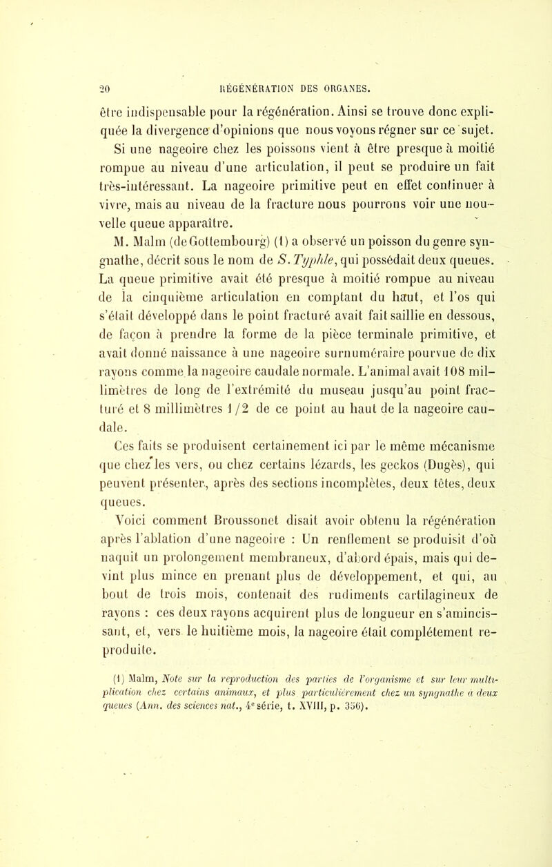 être indispensable pour la régénération. Ainsi se trouve donc expli- quée la divergence d’opinions que nous voyons régner sur ce sujet. Si une nageoire chez les poissons vient à être presque à moitié rompue au niveau d’une articulation, il peut se produire un fait très-intéressant. La nageoire primitive peut en effet continuer à vivre, mais au niveau de la fracture nous pourrons voir une nou- velle queue apparaître. M. Malm (deGottembourg) (1) a observé un poisson du genre syn- gnathe, décrit sous le nom de S. Typhle^ qui possédait deux queues. La queue primitive avait été presque à moitié rompue au niveau de la cinquième articulation en comptant du haut, et l’os qui s’était développé dans le point fracturé avait fait saillie en dessous, de façon à prendre la forme de la pièce terminale primitive, et avait donné naissance à une nageoire surnuméraire pourvue de dix rayons comme la nageoire caudale normale. L’animal avait 108 mil- limètres de long de l’extrémité du museau jusqu’au point frac- turé et 8 millimètres 1 /2 de ce point au haut de la nageoire cau- dale. Ces faits se produisent certainement ici par le même mécanisme que chez*les vers, ou chez certains lézards, les geckos (Dugès), qui peuvent présenter., après des sections incomplètes, deux têtes, deux queues. Voici comment Broussonet disait avoir obtenu la régénération après l’ablation d’une nageoire : Un renflement se produisit d’où naquit un prolongement membraneux, d’abord épais, mais qui de- vint plus mince en prenant plus de développement, et qui, au bout de trois mois, contenait des rudiments cartilagineux de rayons : ces deux rayons acquirent plus de longueur en s’amincis- sant, et, vers le huitième mois, la nageoire était complètement re- produite. (1) Malm, iVofe &ur la reproduction des parties de l’organisme et sur leur multi- plication chez certains animaux, et pAiis particuliérement chez un syngnathe à deux queues {Ann. des sciences nat., 4® série, t. XVIII, p. 350).