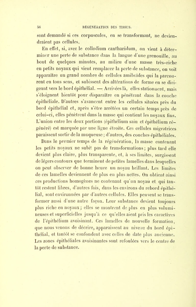 sont demandé si ces corpiiscides, en se transformant, ne devien- draient pas cellules. En effet, si, avec le collodium caniharidum, on vient à déter- miner une perte de substance dans la langue d’une grenouille, au bout de quelques minutes, au milieu d’une masse très-riche en petits noyaux qui vient remplacer la perte de substance, on voit apparaître un grand nombre de cellules amiboïdes qui la parcou- rent en tous sens, et subissent des altérations de forme en se diri- geant vers le bord épithélial. — Arrivées là, elles stationnent, mais s’éloignent bientôt pour disparaître en pénétrant dans la couche épithéliale. D’autres s’avancent entre les cellules situées près du bord épithélial et, après s’être arrêtées un certain temps près de celui-ci, elles pénètrent dans la masse qui contient les noyaux fins. L’union entre les deux portions (épithélium sain et épithélium ré- généré) est marquée par une ligne étroite. Ces cellules migratrices paraissent sortir de la muqueuse ; d’antres, des couches épithéliales. Dans le premier lemps de la régénération, la masse contenant les petits noyaux ne subit pas de transformations; plus tard elle devient plus claire, plus transparente, et, à ses limites, surgissent de légers contours que terminent de petites lamelles dans lesquelles on peut observer de bonne heure un noyau brillant. Les limites de ces lamelles deviennent de plus eu plus nettes. On obtient ainsi ces productions homogènes ne contenant qu’un noyau et qui tan- tôt restent libres, d’autres fois, dans les environs du rebord épithé- lial, sont environnées par d’autres cellules. Elles peuvent se trans- former aussi d’une autre façon. Leur substance devient toujours plus riche en noyaux; elles se montrent de plus en plus volumi- neuses et superficielles jusqu’à ce qu’elles aient pris les caractères de l’épithélium avoisinant. Ces lamelles de nouvelle formation, que nous venons de décrire, apparaissent au niveau du bord épi- thélial, et tantôt se confondent avec celles de date plus ancienne. Les zones épithéliales avoisinantes sont refoulées vers le centre de la perte de substance.