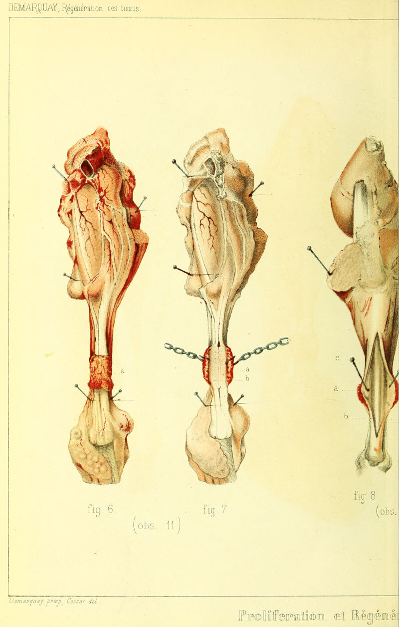 Demar^uay yrwj). Cassât dd . FiP(D)Mff(BiPati(n)]n). et Mégéimé]