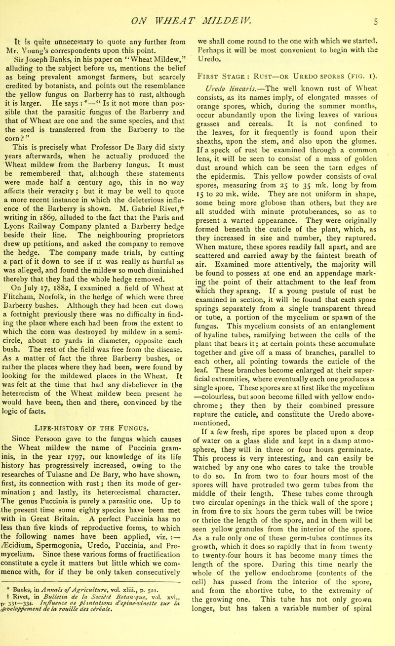 It is quite unnecessary to quote any further from Mr. Young’s correspondents upon this point. Sir Joseph Banks, in his paper on “ Wheat Mildew,” alluding to the subject before us, mentions the belief as being prevalent amongst farmers, but scarcely credited by botanists, and points out the resemblance the yellow fungus on Barberry has to rust, although it is larger. He says : *—“ Is it not more than pos* sible that the parasitic fungus of the Barberry and that of Wheat are one and the same species, and that the seed is transferred from the Barberry to the corn ? ” This is precisely what Professor De Bary did sixty years afterwards, when he actually produced the Wheat mildew from the Barberry fungus. It must be remembered that, although these statements were made half a century ago, this in no way affects their veracity; but it may be well to quote a more recent instance in which the deleterious influ- ence of the Barberry is shown. M. Gabriel Rivet, + writing in 1869, alluded to the fact that the Paris and Lyons Railway Company planted a Barberry hedge beside their line. The neighbouring proprietors drew up petitions, and asked the company to remove the hedge. The company made trials, by cutting a part of it down to see if it was really as hurtful as was alleged, and found the mildew so much diminished thereby that they had the whole hedge removed. On July 17, 1882, I examined a field of Wheat at Flitcham, Norfolk, in the hedge of which were three Barberry bushes. Although they had been cut down a fortnight previously there was no difficulty in find- ing the place where each had been from the extent to which the corn was destroyed by mildew in a semi- circle, about 10 yards in diameter, opposite each bush. The rest of the field was free from the disease. As a matter of fact the three Barberry bushes, or rather the places where they had been, were found by looking for the mildewed places in the Wheat. It was felt at the time that had any disbeliever in the heteroecism of the Wheat mildew been present he would have been, then and there, convinced by the logic of facts. Life-history of the Fungus. Since Persoon gave to the fungus which causes the Wheat mildew the name of Puccinia gram- inis, in the year 1797, our knowledge of its life history has progressively increased, owing to the researches of Tulasne and De Bary, who have shown, first, its connection with rust; then its mode of ger- mination ; and lastly, its heteroecismal character. The genus Puccinia is purely a parasitic one. Up to the present time some eighty species have been met with in Great Britain. A perfect Puccinia has no less than five, kinds of reproductive forms, to which the following names have been applied, viz. :— ^Ecidium, Spermogonia, Uredo, Puccinia, and Pro- mycelium. Since these various forms of fructification constitute a cycle it matters but little which we com- mence with, for if they be only taken consecutively * Banks, in Annals of Agriculture, vol. xliii., p. 521. t Rivet, in Bulletin de la Sociere Botan que, vol. xvi,, p- 331—334. Influence de plantations d’epine-vinette sur la developpement de la rouille des cereale. we shall come round to the one with which we started. Perhaps it will be most convenient to begin with the Uredo. First Stage : Rust—or Uredo spores (fig. i). Uredo linearis.—The well known rust of Wheat consists, as its names imply, of elongated masses of orange spores, which, during the summer months, occur abundantly upon the living leaves of various grasses and cereals. It is not confined to the leaves, for it frequently is found upon their sheaths, upon the stem, and also upon the glumes. If a speck of rust be examined through a common lens, it will be seen to consist of a mass of golden dust around which can be seen the torn edges of the epidermis. This yellow powder consists of oval spores, measuring from 25 to 35 mk. long by from 15 to 20 mk. wide. They are not uniform in shape, some being more globose than others, but they are all studded with minute protuberances, so as to present a warted appearance. They were originally formed beneath the cuticle of the plant, which, as they increased in size and number, they ruptured. When mature, these spores readily fall apart, and are scattered and carried away by the faintest breath of air. Examined more attentively, the majority will be found to possess at one end an appendage mark- ing the point of their attachment to the leaf from which they sprang. If a young pustule of rust be examined in section, it will be found that each spore springs separately from a single transparent thread or tube, a portion of the mycelium or spawn of the fungus. This mycelium consists of an entanglement of hyaline tubes, ramifying between the cells of the plant that bears it; at certain points these accumulate together and give off a mass of branches, parallel to each other, all pointing towards the cuticle of the leaf. These branches become enlarged at their super- ficial extremities, where eventually each one produces a single spore. These spores are at first like the mycelium —colourless, but soon become filled with yellow endo- chrome; they then by their combined pressure rupture the cuticle, and constitute the Uredo above- mentioned. If a few fresh, ripe spores be placed upon a drop of water on a glass slide and kept in a damp atmo- sphere, they will in three or four hours germinate. This process is very interesting, and can easily be watched by any one who cares to take the trouble to do so. In from two to four hours most of the spores will have protruded two germ tubes from the middle of their length. These tubes come through two circular openings in the thick wall of the spore ; in from five to six hours the germ tubes will be twice or thrice the length of the spore, and in them will be seen yellow granules from the interior of the spore. As a rule only one of these germ-tubes continues its growth, which it does so rapidly that in from twenty to twenty-four hours it has become many times the length of the spore. During this time nearly the whole of the yellow endochrome (contents of the cell) has passed from the interior of the spore, and from the abortive tube, to the extremity of the growing one. This tube has not only grown longer, but has taken a variable number of spiral
