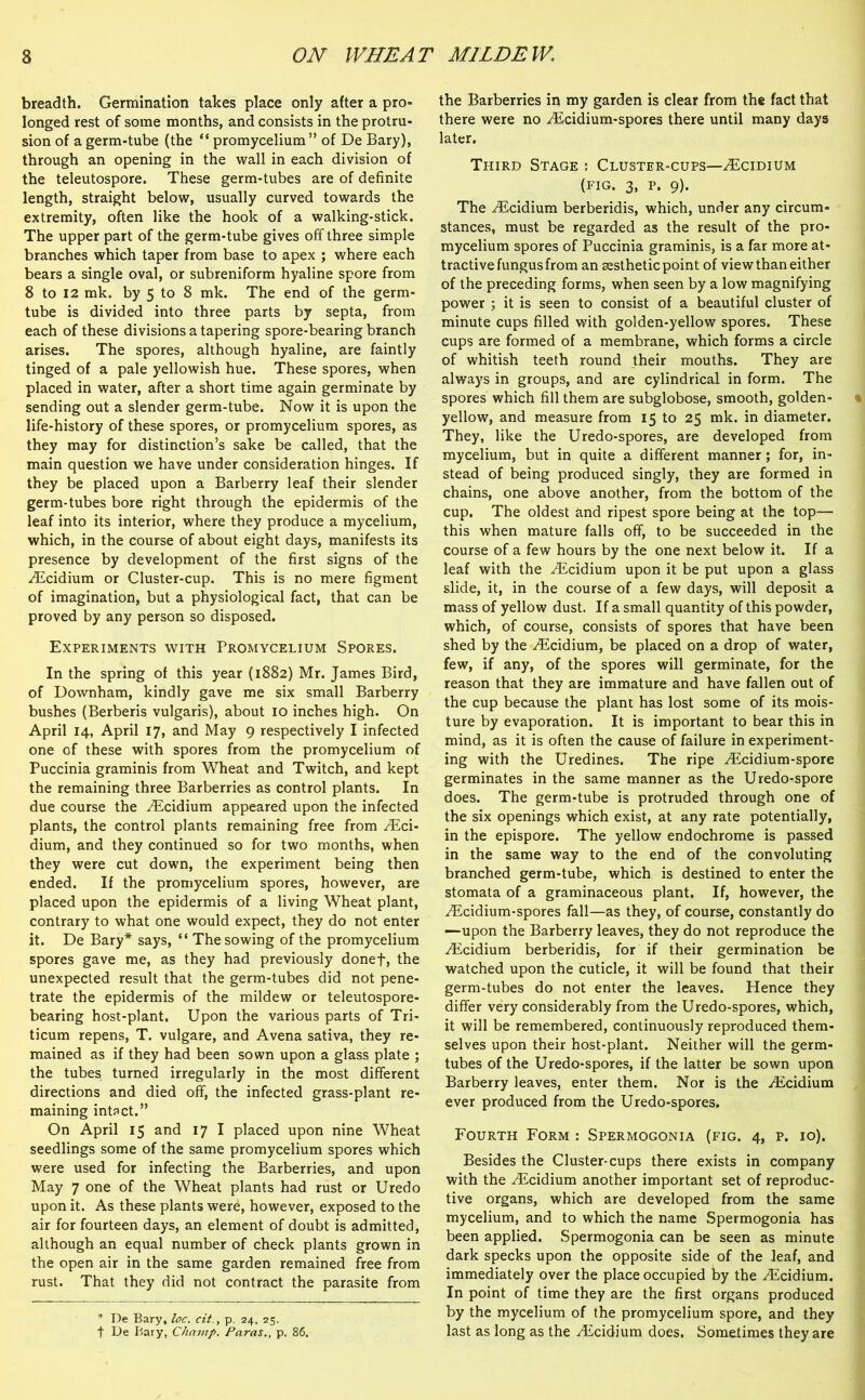 breadth. Germination takes place only after a pro- longed rest of some months, and consists in the protru- sion of a germ-tube (the “ promycelium” of De Bary), through an opening in the wall in each division of the teleutospore. These germ-tubes are of definite length, straight below, usually curved towards the extremity, often like the hook of a walking-stick. The upper part of the germ-tube gives off three simple branches which taper from base to apex ; where each bears a single oval, or subreniform hyaline spore from 8 to 12 mk. by 5 to 8 mk. The end of the germ- tube is divided into three parts by septa, from each of these divisions a tapering spore-bearing branch arises. The spores, although hyaline, are faintly tinged of a pale yellowish hue. These spores, when placed in water, after a short time again germinate by sending out a slender germ-tube. Now it is upon the life-history of these spores, or promycelium spores, as they may for distinction’s sake be called, that the main question we have under consideration hinges. If they be placed upon a Barberry leaf their slender germ-tubes bore right through the epidermis of the leaf into its interior, where they produce a mycelium, which, in the course of about eight days, manifests its presence by development of the first signs of the ^Ecidium or Cluster-cup. This is no mere figment of imagination, but a physiological fact, that can be proved by any person so disposed. Experiments with Promycelium Spores. In the spring of this year (1882) Mr. James Bird, of Downham, kindly gave me six small Barberry bushes (Berberis vulgaris), about 10 inches high. On April 14, April 17, and May 9 respectively I infected one of these with spores from the promycelium of Puccinia graminis from Wheat and Twitch, and kept the remaining three Barberries as control plants. In due course the yEcidium appeared upon the infected plants, the control plants remaining free from JEci- dium, and they continued so for two months, when they were cut down, the experiment being then ended. If the promycelium spores, however, are placed upon the epidermis of a living Wheat plant, contrary to what one would expect, they do not enter it. De Bary* says, “ The sowing of the promycelium spores gave me, as they had previously donef, the unexpected result that the germ-tubes did not pene- trate the epidermis of the mildew or teleutospore- bearing host-plant. Upon the various parts of Tri- ticum repens, T. vulgare, and Avena sativa, they re- mained as if they had been sown upon a glass plate ; the tubes turned irregularly in the most different directions and died off, the infected grass-plant re- maining intact.” On April 15 and 17 I placed upon nine Wheat seedlings some of the same promycelium spores which were used for infecting the Barberries, and upon May 7 one of the Wheat plants had rust or Uredo upon it. As these plants were, however, exposed to the air for fourteen days, an element of doubt is admitted, although an equal number of check plants grown in the open air in the same garden remained free from rust. That they did not contract the parasite from * De Bary, loc. cit., p. 24, 25. f De Bary, Champ. Paras., p. 86. the Barberries in my garden is clear from the fact that there were no Radium-spores there until many days later. Third Stage ; Cluster-cups—Rcidium (fig. 3, p. 9). The Rcidium berberidis, which, under any circum- stances, must be regarded as the result of the pro- mycelium spores of Puccinia graminis, is a far more at- tractive fungusfrom an aesthetic point of view than either of the preceding forms, when seen by a low magnifying power ; it is seen to consist of a beautiful cluster of minute cups filled with golden-yellow spores. These cups are formed of a membrane, which forms a circle of whitish teeth round their mouths. They are always in groups, and are cylindrical in form. The spores which fill them are subglobose, smooth, golden- yellow, and measure from 15 to 25 mk. in diameter. They, like the Uredo-spores, are developed from mycelium, but in quite a different manner; for, in- stead of being produced singly, they are formed in chains, one above another, from the bottom of the cup. The oldest and ripest spore being at the top-— this when mature falls off, to be succeeded in the course of a few hours by the one next below it. If a leaf with the Rcidium upon it be put upon a glass slide, it, in the course of a few days, will deposit a mass of yellow dust. If a small quantity of this powder, which, of course, consists of spores that have been shed by the Rcidium, be placed on a drop of water, few, if any, of the spores will germinate, for the reason that they are immature and have fallen out of the cup because the plant has lost some of its mois- ture by evaporation. It is important to bear this in mind, as it is often the cause of failure in experiment- ing with the Uredines. The ripe Rcidium-spore germinates in the same manner as the Uredo-spore does. The germ-tube is protruded through one of the six openings which exist, at any rate potentially, in the epispore. The yellow endochrome is passed in the same way to the end of the convoluting branched germ-tube, which is destined to enter the stomata of a graminaceous plant. If, however, the Rcidium-spores fall—as they, of course, constantly do —upon the Barberry leaves, they do not reproduce the Rcidium berberidis, for if their germination be watched upon the cuticle, it will be found that their germ-tubes do not enter the leaves. Hence they differ very considerably from the Uredo-spores, which, it will be remembered, continuously reproduced them- selves upon their host-plant. Neither will the germ- tubes of the Uredo-spores, if the latter be sown upon Barberry leaves, enter them. Nor is the Radium ever produced from the Uredo-spores. Fourth Form : Spermogonia (fig. 4, p. 10). Besides the Cluster-cups there exists in company with the Rcidium another important set of reproduc- tive organs, which are developed from the same mycelium, and to which the name Spermogonia has been applied. Spermogonia can be seen as minute dark specks upon the opposite side of the leaf, and immediately over the place occupied by the Rcidium. In point of time they are the first organs produced by the mycelium of the promycelium spore, and they last as long as the Rcidium does. Sometimes they are