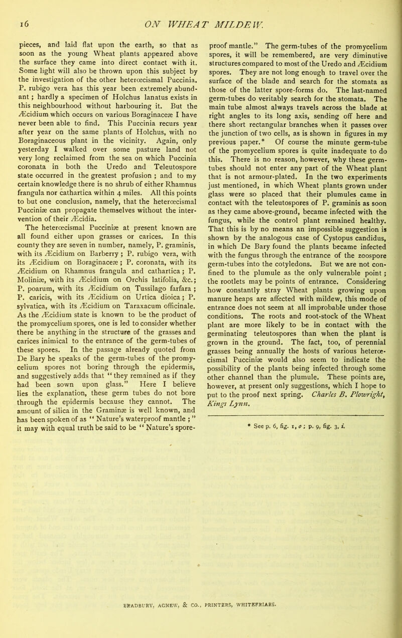 pieces, and laid flat upon the earth, so that as soon as the young Wheat plants appeared above the surface they came into direct contact with it. Some light will also be thrown upon this subject by the investigation of the other heteroecismal Puccinia. P. rubigo vera has this year been extremely abund- ant ; hardly a specimen of Holchus lanatus exists in this neighbourhood without harbouring it. But the iridium which occurs on various Boraginacese I have never been able to find. This Puccinia recurs year after year on the same plants of Holchus, with no Boraginaceous plant in the vicinity. Again, only yesterday I walked over some pasture land not very long reclaimed from the sea on which Puccinia coronata in both the Uredo and Teleutospore state occurred in the greatest profusion ; and to my certain knowledge there is no shrub of either Rhamnus frangula nor cathartica within 4 miles. All this points to but one conclusion, namely, that the heteroecismal Puccinise can propagate themselves without the inter- vention of their ^Ecidia. The heteroecismal Pucciniae at present known are all found either upon grasses or carices. In this county they are seven in number, namely, P. graminis, with its ^Ticidium on Barberry ; P. rubigo vera, with its HLcidium on Boraginacese ; P. coronata, with its Aicidium on Rhamnus frangula and cathartica; P. Moliniae, with its ^Ecidium on Orchis latifolia, &c.; P. poarum, with its /Ecidium on Tussilago farfara ; P. caricis, with its ^Ecidium on Urtica dioica; P. sylvatica, with its .^Ecidium on Taraxacum officinale. As the ^Ecidium state is known to be the product of the promycelium spores, one is led to consider whether there be anything in the structure of the grasses and carices inimical to the entrance of the germ-tubes of these spores. In the passage already quoted from De Bary he speaks of the germ-tubes of the promy- celium spores not boring through the epidermis, and suggestively adds that “ they remained as if they had been sown upon glass.” Here I believe lies the explanation, these germ tubes do not bore through the epidermis because they cannot. The amount of silica in the Graminse is well known, and has been spoken of as “ Nature’s waterproof mantle ; ” it may with equal truth be said to be “ Nature’s spore- proof mantle.” The germ-tubes of the promycelium spores, it will be remembered, are very diminutive structures compared to most of the Uredo and yEcidium spores. They are not long enough to travel over the surface of the blade and search for the stomata as those of the latter spore-forms do. The last-named germ-tubes do veritably search for the stomata. The main tube almost always travels across the blade at right angles to its long axis, sending off here and there short rectangular branches when it passes over the junction of two cells, as is shown in figures in my previous paper.* Of course the minute germ-tube of the promycelium spores is quite inadequate to do this. There is no reason, however, why these germ- tubes should not enter any part of the Wheat plant that is not armour-plated. In the two experiments just mentioned, in which Wheat plants grown under glass were so placed that their plumules came in contact with the teleutospores of P. graminis as soon as they came above-ground, became infected with the fungus, while the control plant remained healthy. That this is by no means an impossible suggestion is shown by the analogous case of Cystopus candidus, in which De Bary found the plants became infected with the fungus through the entrance of the zoospore germ-tubes into the cotyledons. But we are not con- fined to the plumule as the only vulnerable point ; the rootlets may be points of entrance. Considering how constantly stray Wheat plants growing upon manure heaps are affected with mildew, this mode of entrance does not seem at all improbable under those conditions. The roots and root-stock of the Wheat plant are more likely to be in contact with the germinating teleutospores than when the plant is grown in the ground. The fact, too, of perennial grasses being annually the hosts of various heterce- cismal Puccinise would also seem to indicate the possibility of the plants being infected through some other channel than the plumule. These points are, however, at present only suggestions, which I hope to put to the proof next spring. Charles B. Plowright, Kings Lynn. * See p. 6, fig. 1,0; p. 9, fig. 3, i. ERADBURY, AGNEW, & CO., PRINTERS, WHITEERIAR5.