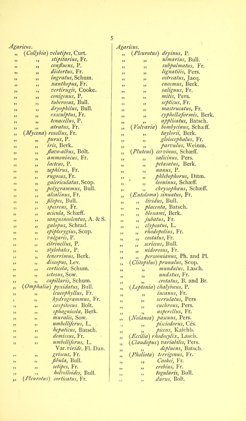 Agaricus. „ (Collybia) velutipes, Curt. ,, ,, stipitarius, Fr. „ ,, confluens, P. „ distorlus, Fr. ,, ingratus, Schum. ,, xanthopus, Fr. „ vertirugis, Cooke. ,, conigenus, P. ,, tuberosus, Bull. ,, dryophilus, Bull. ,, exsculptus, Fr. „ tenacellus, P. „ atratus, Fr. (Mycena) rosellus, Fr. „ purus, P. ,, iris, Berk. ,, Jlavo-albus, Bolt. „ ammoniacus, Fr. „ lacteus, P. „ zephirus, Fr. ,, rugosus, Fr. „ galericulatus, Scop. „ polygranimus, Bull. ,, alcalinus, Fr. ,, „ jilopes, Bull. „ ,, speireus, Fr. „ „ acicula, Schaeff. „ ,, sanguineolentus, A. & S. „ „ galopus, Schrad. „ „ epipterygius, Scop. ,, „ vulgaris, P. ,, „ citrinellus, P. ,, „ stylobates, P. ,, „ tenerrimus, Berk. ,, ,, discopus, Lev. „ ,, corticola, Schum. j, „ setosus, Sow. ,, „ capillaris, Schum. „ (Omphalia) pyxidatus, Bull. „ „ leucophyllus, Fr. , ,, hydrogrammus, Fr. „ „ ccespitosus. Bolt. „ ,, sphagnicola, Berk. „ „ muralis. Sow. ,, „ umbelliferus, L. jj hepaticus, Batsch. „ ,, demissus, Fr. ,, jj umbelliferus, L. Var. viride, FI. Dan. ,, „ griseus, Fr. „ „ fibula, Bull. „ „ setipes, Fr. ,, ,, helvelloides, Bull. (Pleurotus) corticatus, Fr. jj )> )> 5) 3 5 33 33 >3 33 33 33 33 Agaricus. (.Pleurotus) dryinus, P. ulmarius, Bull. subpalmatus, Fr. lignatilis, Pers. ostreatus, Jacq. enosmus, Berk. salignus, Fr. „ mitis, Pers. „ septicus, Fr. ,, mastrucatus, Fr. „ cyphellceformis, Berk. ,, applicatus, Batsch. ( Volvaria) bombycinus, Schaeff. „ taylorii, Berk. „ gloiocephalus, Fr. „ parvulus, Weinm. (Pluteus) cervinus, Schaeff. ,, salicinus, Pers. ,, petasatus, Berk. „ nanus, P. ,, phlebophorus, Ditm. ,, leoninus, Schaeff. ,, chrysophoeus, Schaeff. (Entoloma) sinuatus, Fr. ,, lividus, Bull. „ placenta, Batsch. ,, bloxami, Berk. ,, jubatus, Fr. ,, clypeatus, L. ., rhodopolius, Fr. ,, costatus, Fr. ,, sericeus, Bull. nidorosus, Fr. persoonianus, Ph. and PI. (Clitopilus) prunulus, Scop. mundulus, Lasch. undatus, Fr. cretatus, B. and Br. (.Leptonia) chalyboeus, P. incanus, Fr. serrulatus, Pers euchrous, Pers. asperellus, Fr. (.Nolanea) pascuus, Pers. „ pisciodorus, Ces. „ piceus, Kalchb. (.Eccilia) rhodocylix, Lasch. (Claudopus) variabilis, Pers. „ depluens, Batsch. (.Pholiota) terrigenus, Fr. ,, Cookei, Fr. „ erebius, Fr. „ togularis, Bull. „ durus, Bolt. 33 33 3 3 33 33 33 33 33 33 33 33 33 (£«/ 33 33 33 33 33 3 3 33