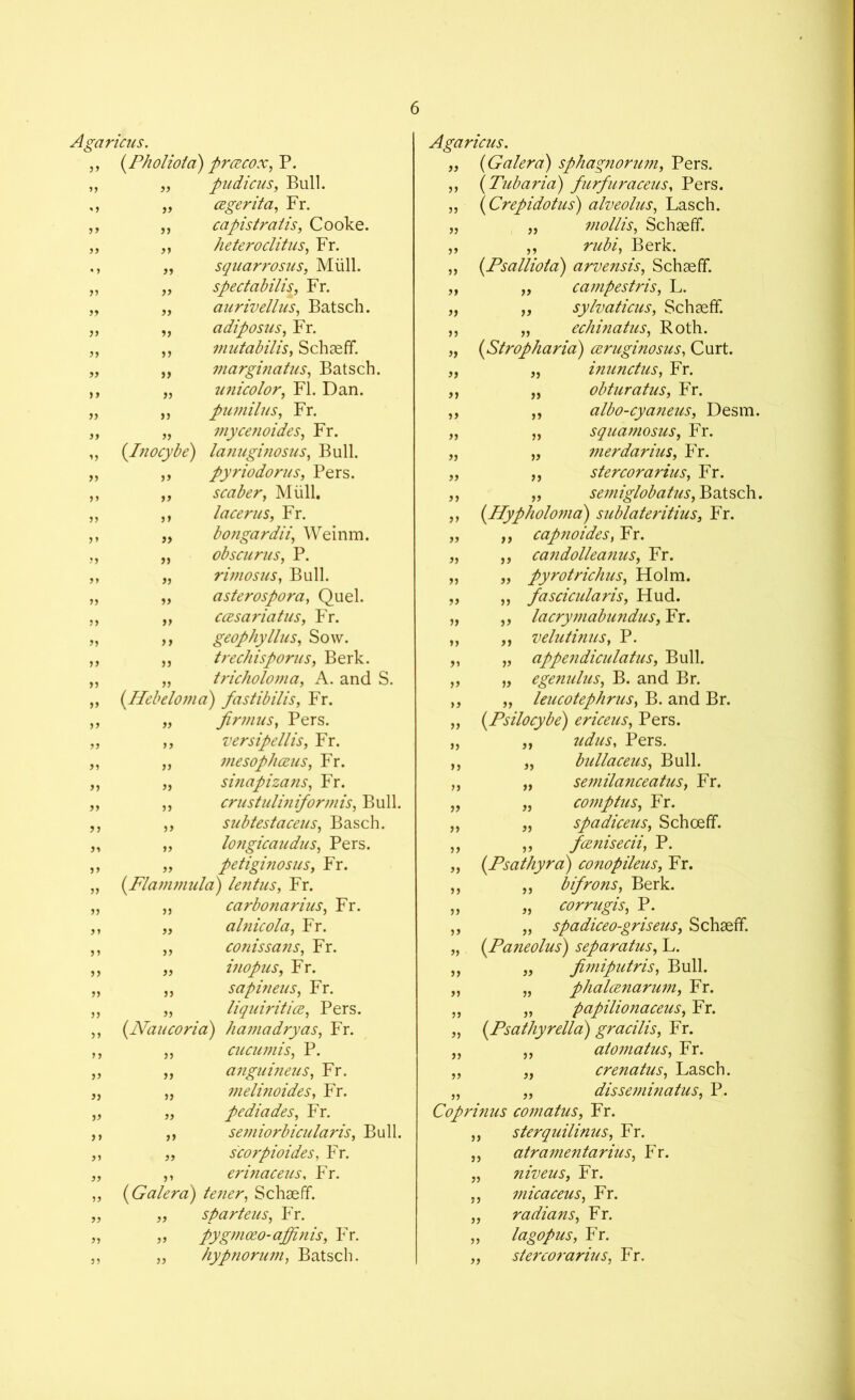 Agaricus. ,, (Pholioia) prcecox, P. „ „ pudicus, Bull. ,, „ cegerita, Fr. ,, „ capistratis, Cooke. ,, „ heteroclitus, Fr. ,, „ squarrosus, Miill. spectabilis, Fr. aurivellus, Batsch. adiposus, Fr. mutabilis, Schaeff. marginatus, Batsch. unicolor, FI. Dan. pumilus, Fr. mycenoides, Fr. (Inocybe) lanuginosus, Bull. ,, pyriodorus, Pers. ,, scaber, Miill, ,, lacerus, Fr. bongardii, Weinm. obscurus, P. rimosus, Bull. » >> >> » » >5 >) 5* »> 5> » J> J) „ „ asterospora, Quel >> >> >5 ccesariatus, Fr. geophyllus, Sow. „ trechisporus, Berk. „ tricholoma, A. and S. (Hebeloma) fastibilis, Fr. „ fir mu s, Pers. ,, versipellis, Fr. „ mesophceus, Fr. „ sinapizans, Fr. „ ,, crustulmiformis, Bull. „ ,, subtestaceus, Basch. ,, „ longicaudus, Pers. „ „ petiginosus, Fr. „ (Flammula) lent us, Fr. „ „ carbonarius, Fr. ,, „ alnicola, Fr. ,, ,, conissans, Fr. ,, „ inopus, Fr. „ „ sapineus, Fr. „ „ liquiritice, Pers. ,, (Naucoria) hatnadryas, Fr. ,, „ cucumis, P. anguineus, Fr. melinoides, Fr. pediades, Fr. semiorbicularis, Bull. „ scorpioides, Fr. ,, erinaceus, Fr. (Galera) tener, Schaeff. „ sparteus, Fr. ,, pygmoeo-affinis, Fr. „ hypnorum, Batsch. 5) >> jj 5 > appendiculatus, Bull. egenulus, B. and Br. Agaricus. „ (Galera) sphagnorum, Pers. „ (Tub aria) furfuraceus, Pers. „ (Crepidotus) alveolus, Lasch. „ „ mollis, Schaeff. ,, ,, rubi, Berk. „ (.Psalliota) arvensis, Schaeff. „ „ campestris, L. „ „ sylvaticus, Schaeff. „ echinatus, Roth. (Stropharia) ceruginosus, Curt. inunctus, Fr. obturatus, Fr. albo-cyaneus, Desm. squamosus, Fr. merdarius, Fr. stercorarius, Fr. „ „ semiglobatus, Batsch. „ (dPyp/ioloma) sublateritius3 Fr. „ ,, capnoides, Fr. „ ,, candolleanus, Fr. „ „ pyrotrichus, Holm. „ „ fascicularis, Hud. „ „ lacrymabundus, Fr. „ „ velutinus, P. >> » „ „ leucotephrus, B. and Br. (Psilocybe) ericeus, Pers. Pers. bullaceus, Bull. semilanceatus, Fr. comptus, Fr. spadiceus, Schoeff. fcenisecii, P. (Psathyra) conopileus, Fr. „ bifrons, Berk. „ corrugis, P. „ spadiceo-griseus, Schaeff. (Paneolus) separatus, L. „ „ fimiputris, Bull. „ „ phalcenarum, Fr. ,, „ papilionaceus, Fr. „ (Psathyrella) gracilis, Fr. „ ,, ato?natus, Fr. „ „ crenatus, Lasch. „ „ disseminatus, P. Coprinus comatus, Fr. ,, sterquilinus, Fr. „ atramentarius, Fr. „ niveus, Fr. „ micaceus, Fr. „ radians, Fr. ,, lagopus, Fr. „ stercorarius, Fr.